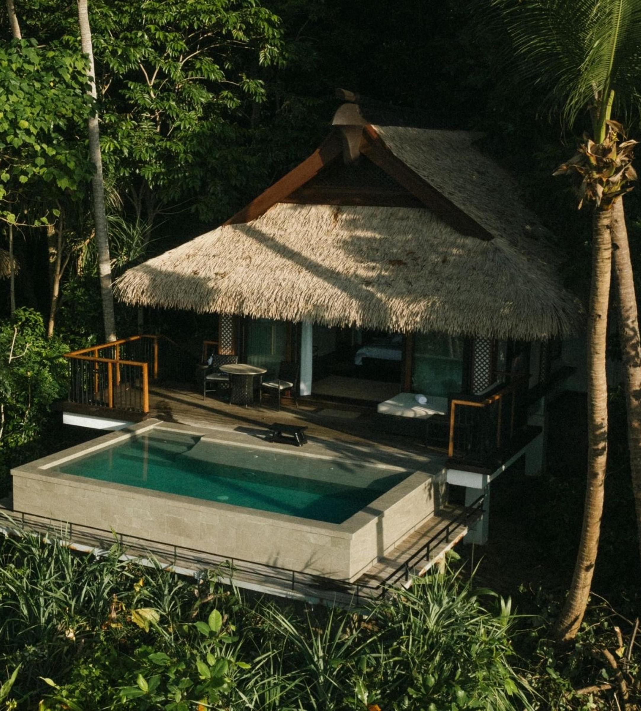 A thatched villa with its own plunge pool on a deck among the trees.