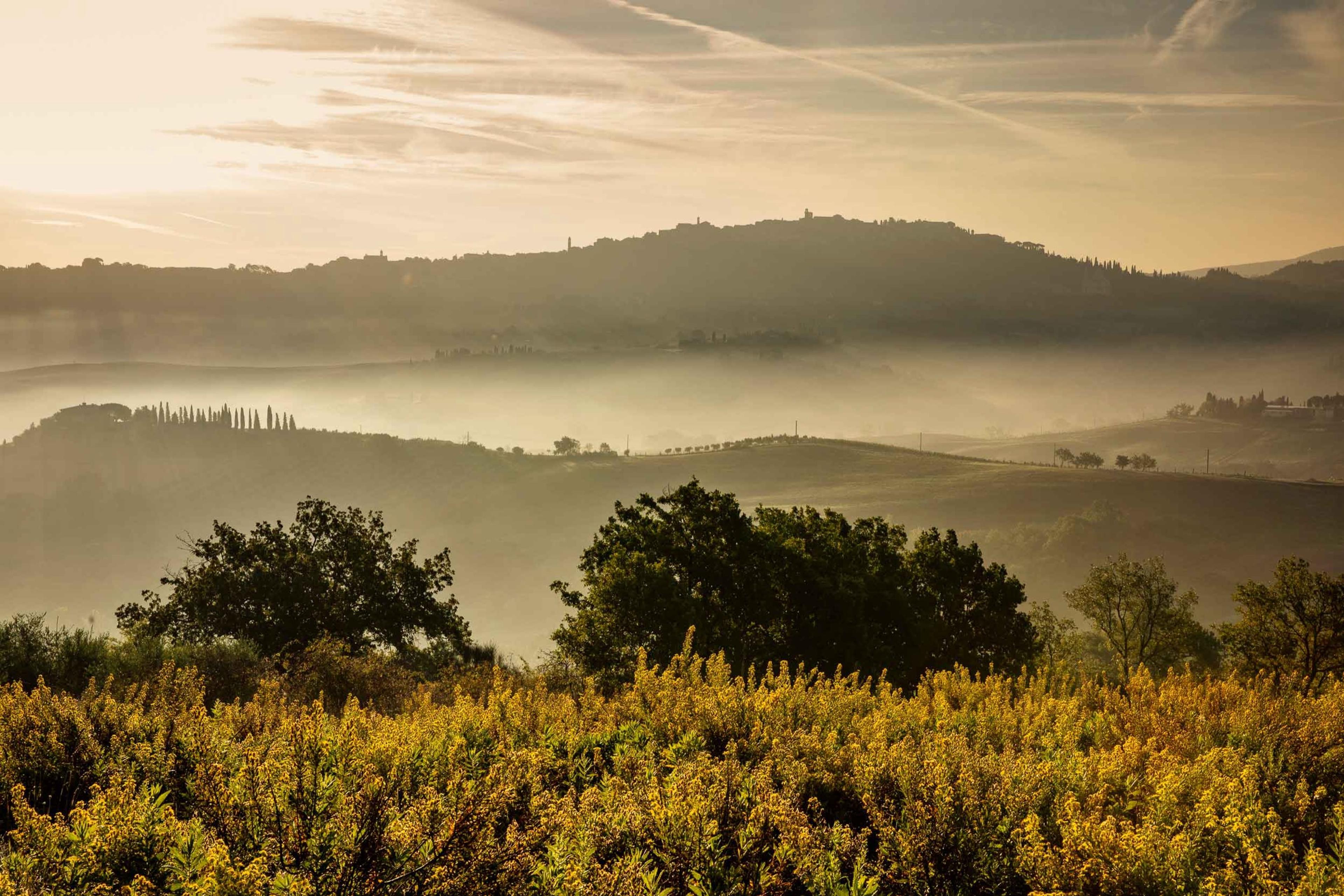 A misty Tuscan landscape at dawn or dusk, with wooded hills, a hilltop town in the distance and yellow wildflowers in the foreground.