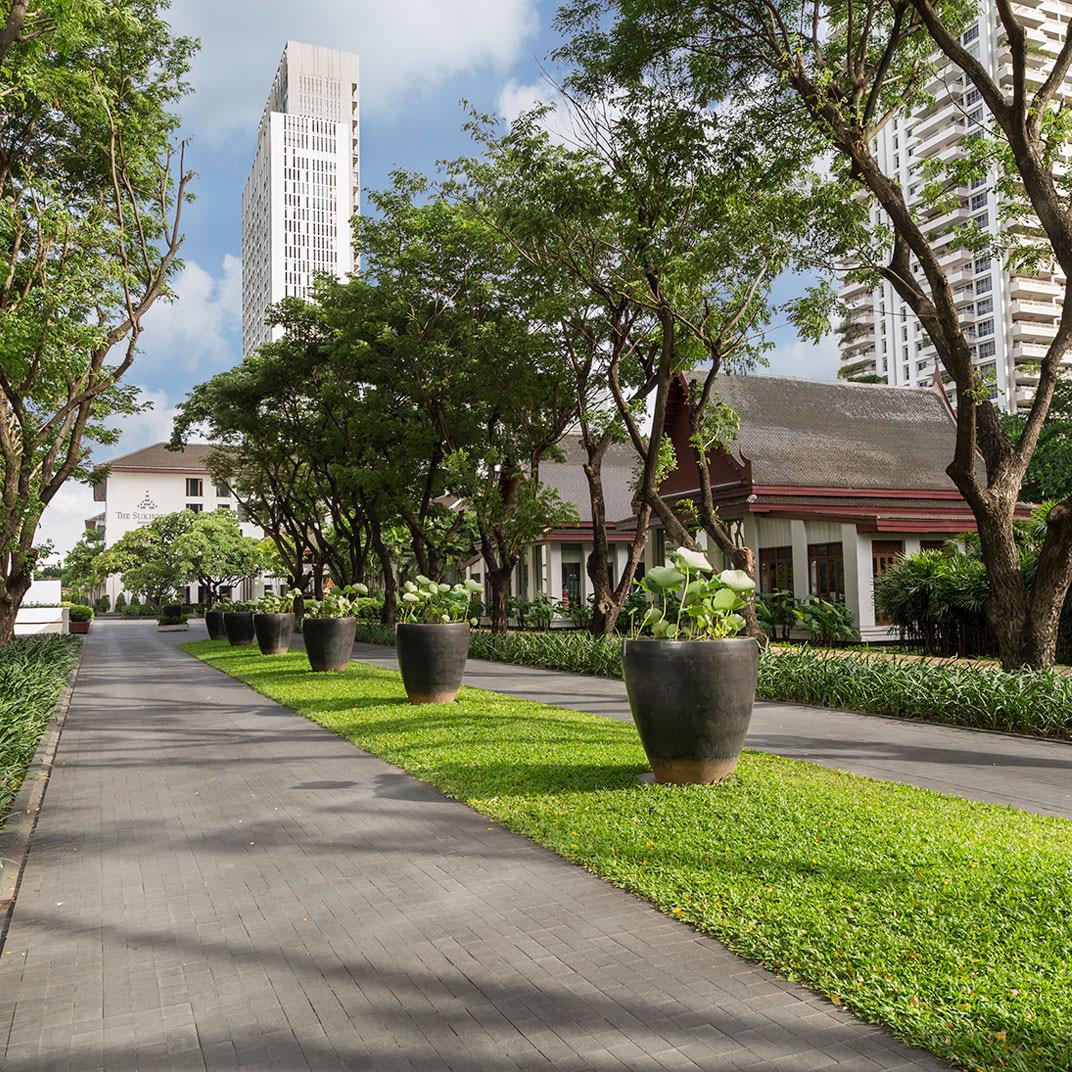 A tree-lined path through the hotel gardens