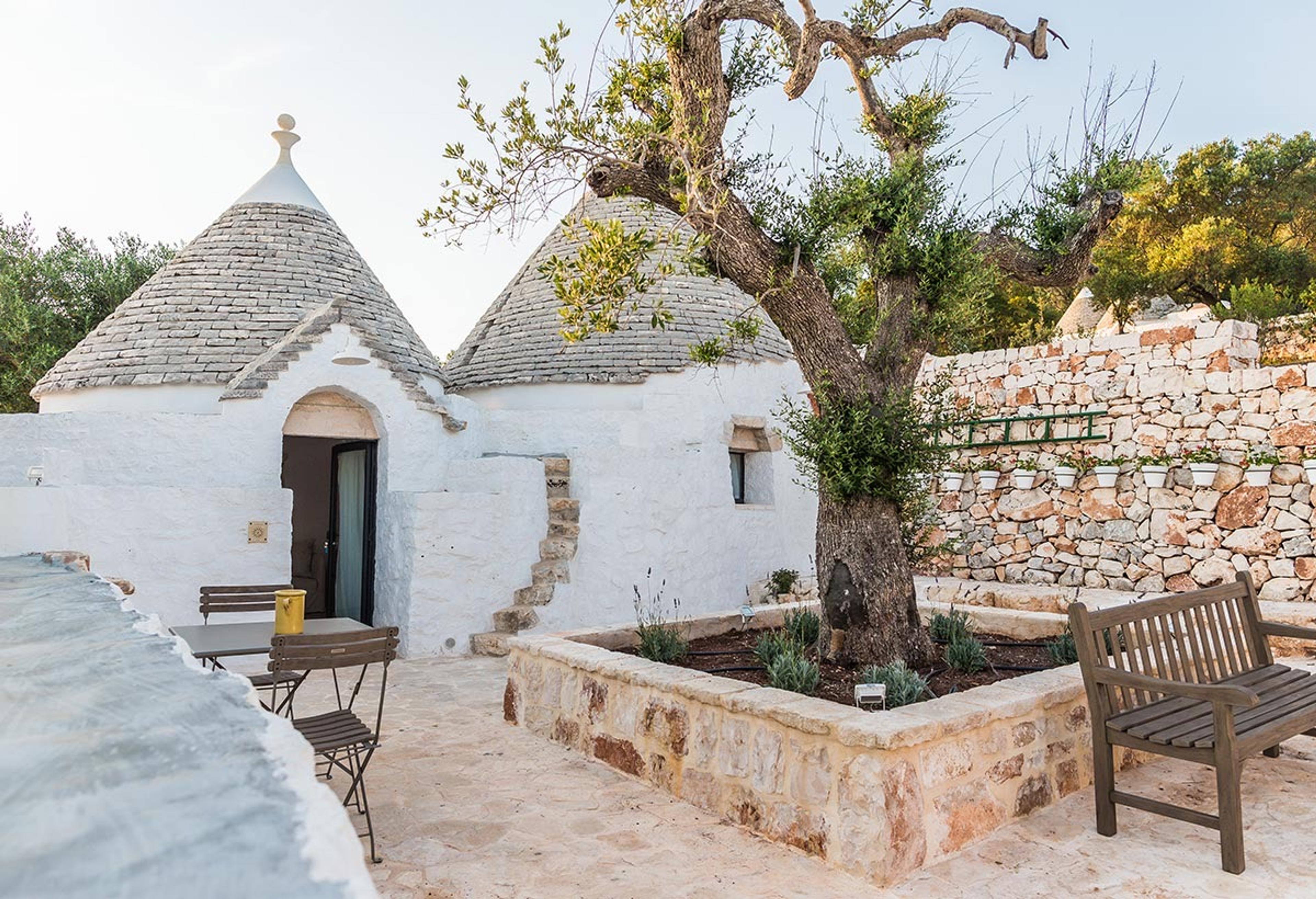 A whitewashed trullo with its door open, a bench, and an old olive tree in a raised stone bed in the courtyard.