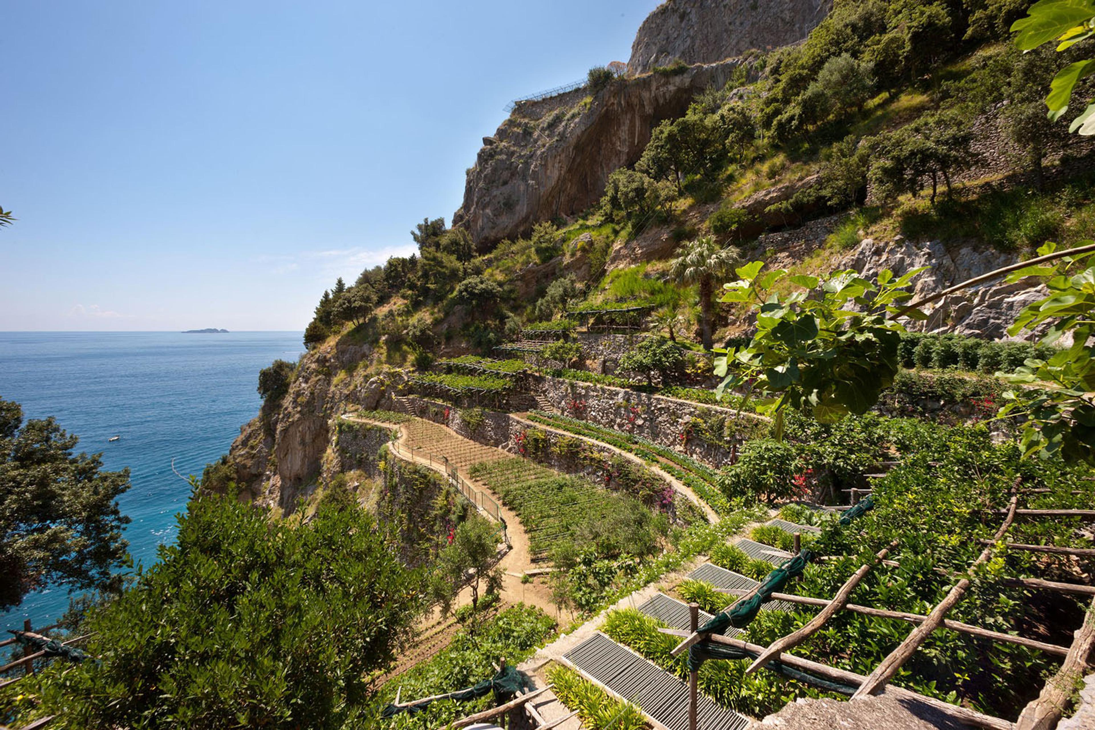 Terraced gardens of vines and vegetables cut into a cliffside above the sea.