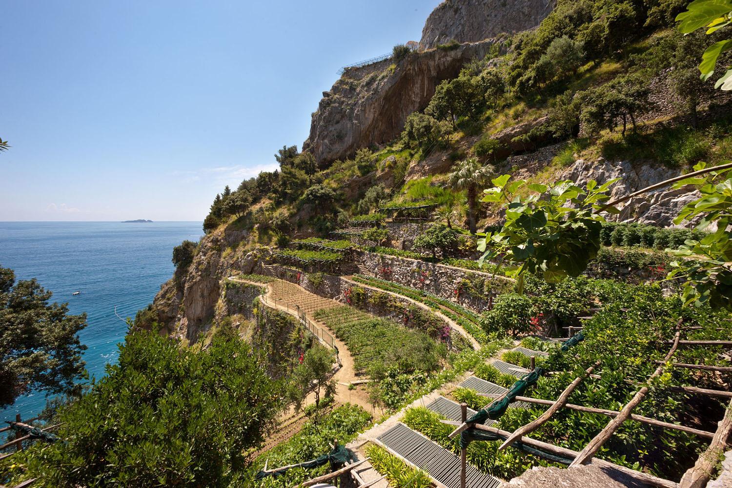 Terraced gardens of vines and vegetables cut into a cliffside above the sea.