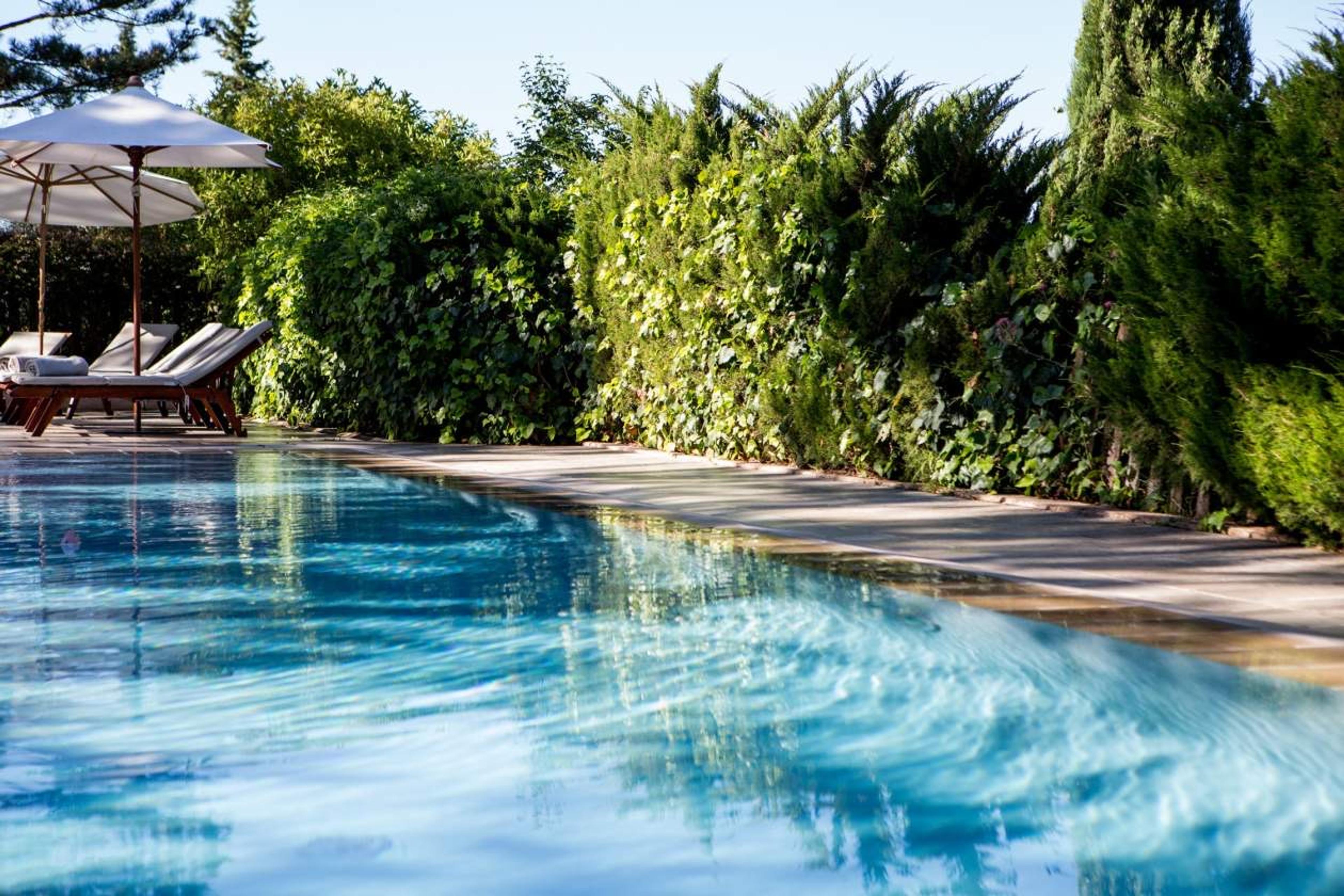 A swimming pool running alongside a hedge, with sun loungers and a white parasol at one end.