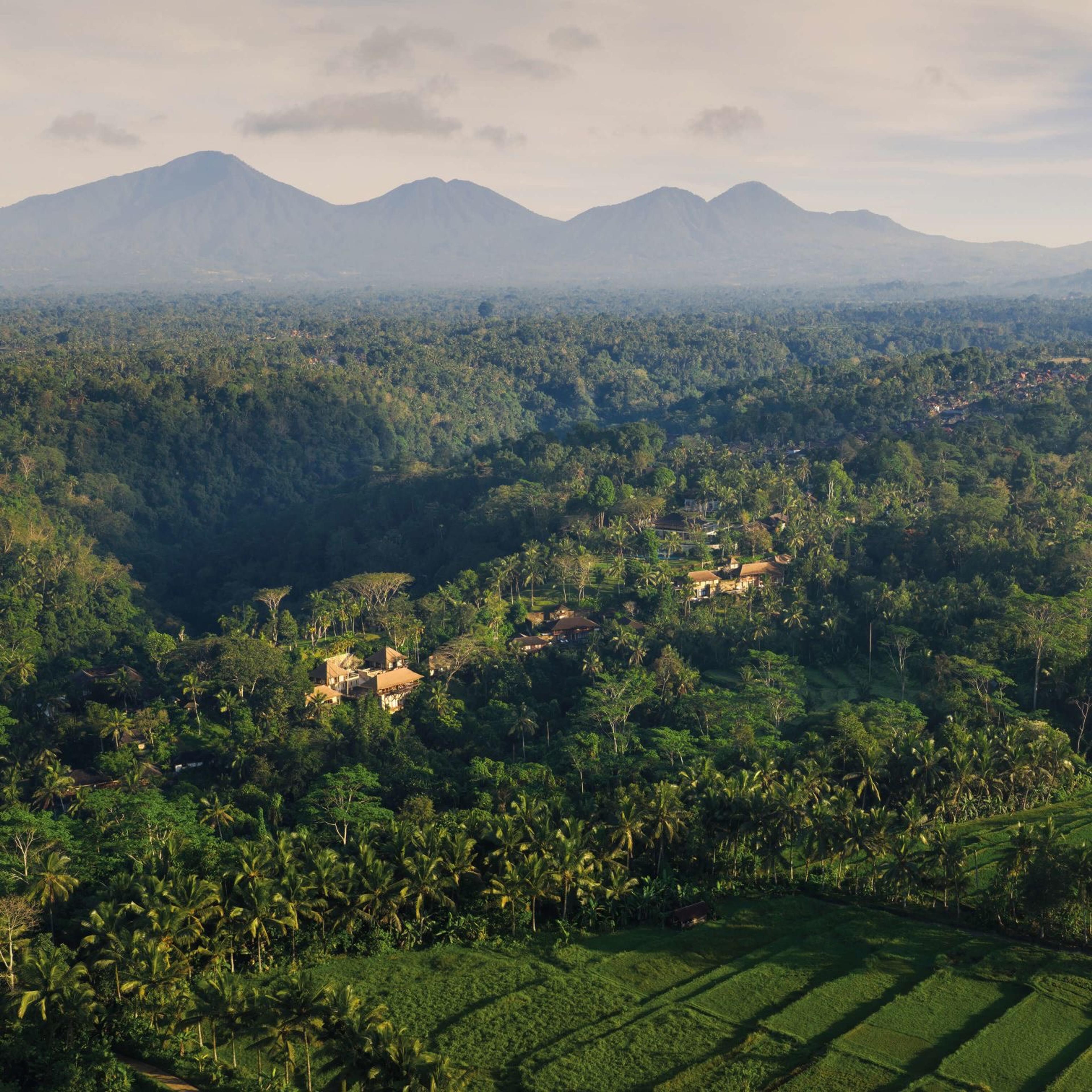 An aerial view over a jungle valley and rice terraces with a chain of volcanic mountains on the horizon.