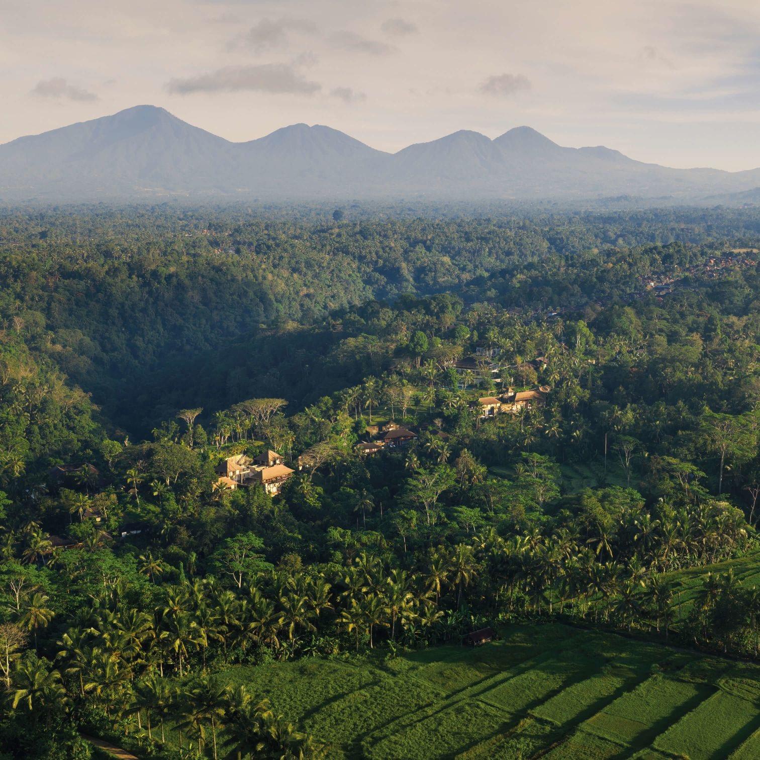An aerial view over a jungle valley and rice terraces with a chain of volcanic mountains on the horizon.