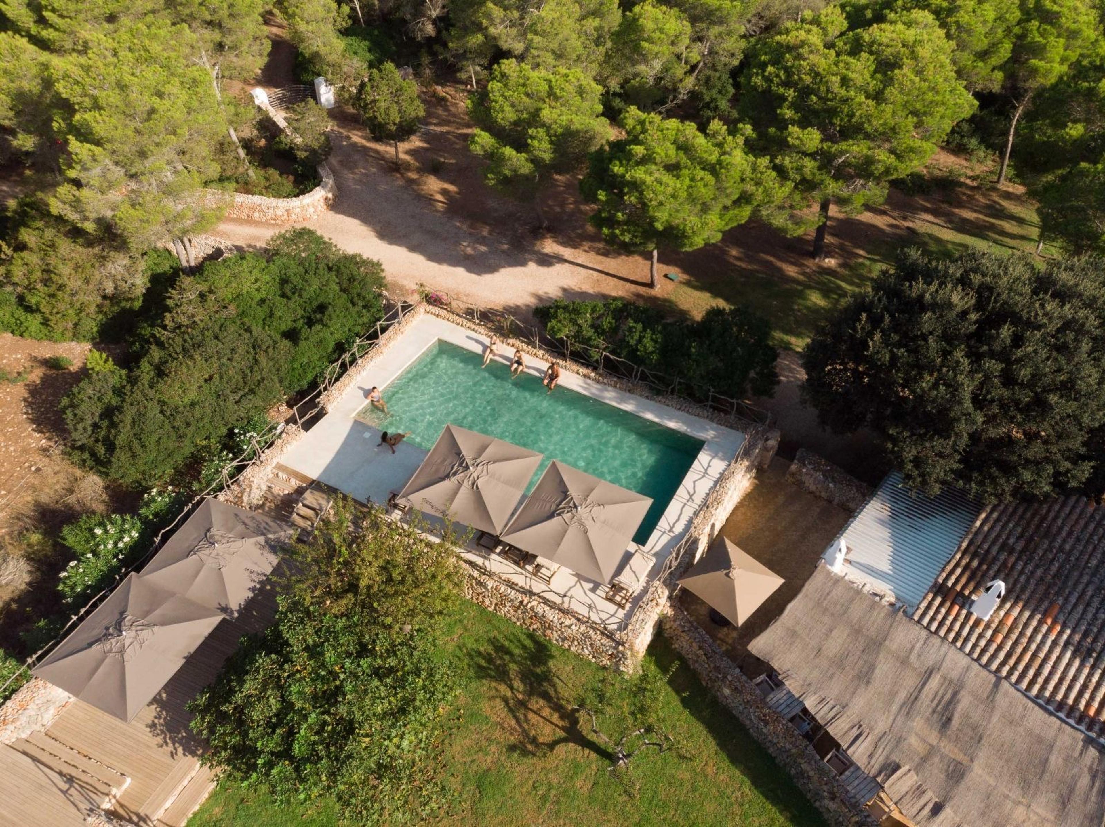 An aerial view of a swimming pool and sun terrace surrounded by pine trees and stone walls, with four people in the water.