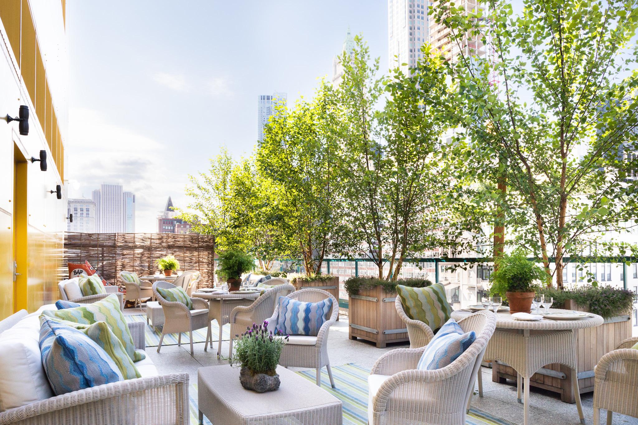 A rooftop terrace with wicker furniture and tables set among potted birch trees, city towers and a water tower in the background.