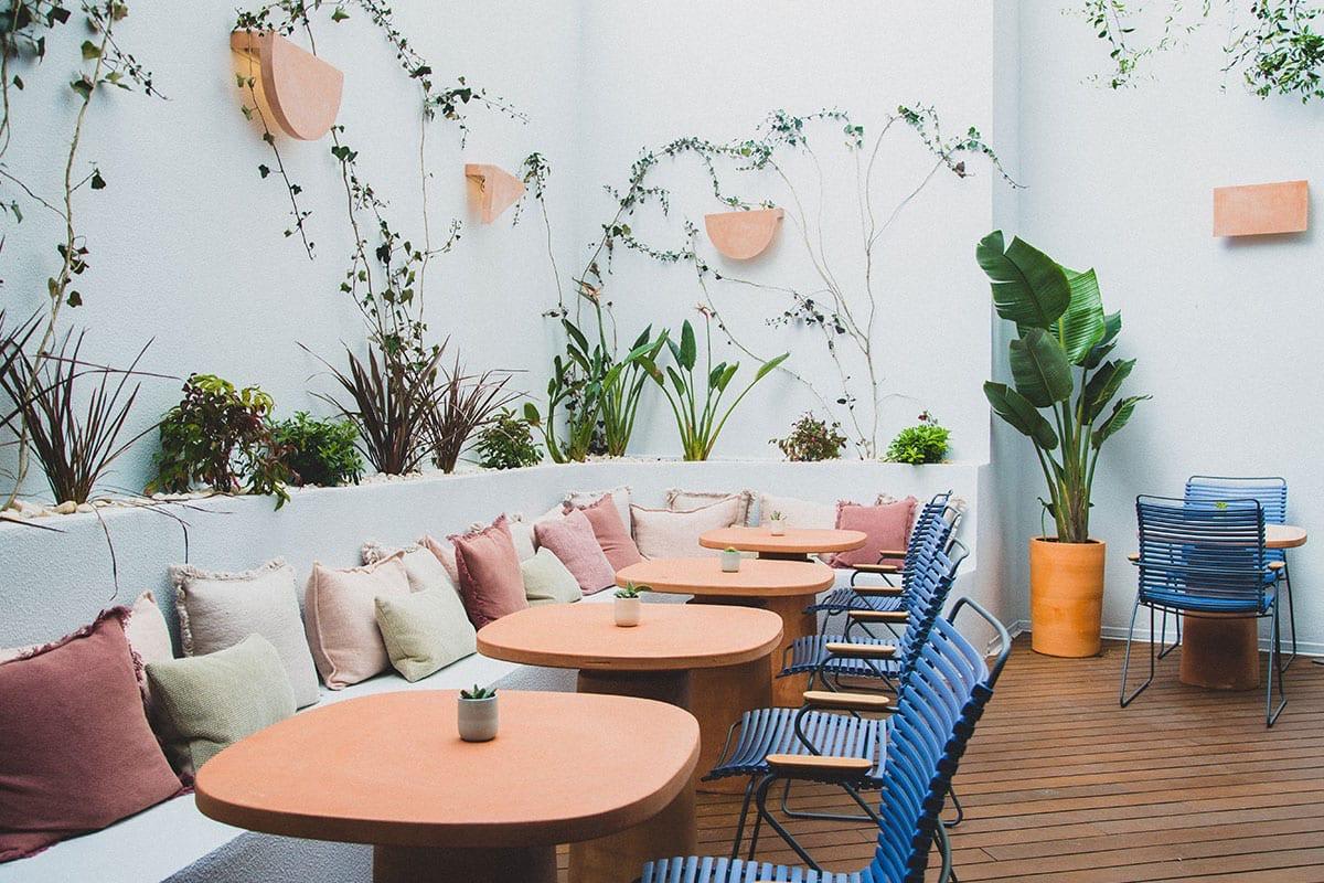 A courtyard with white walls covered in climbing plants, a built-in bench with cushions, terracotta tables and blue chairs on a timber deck.