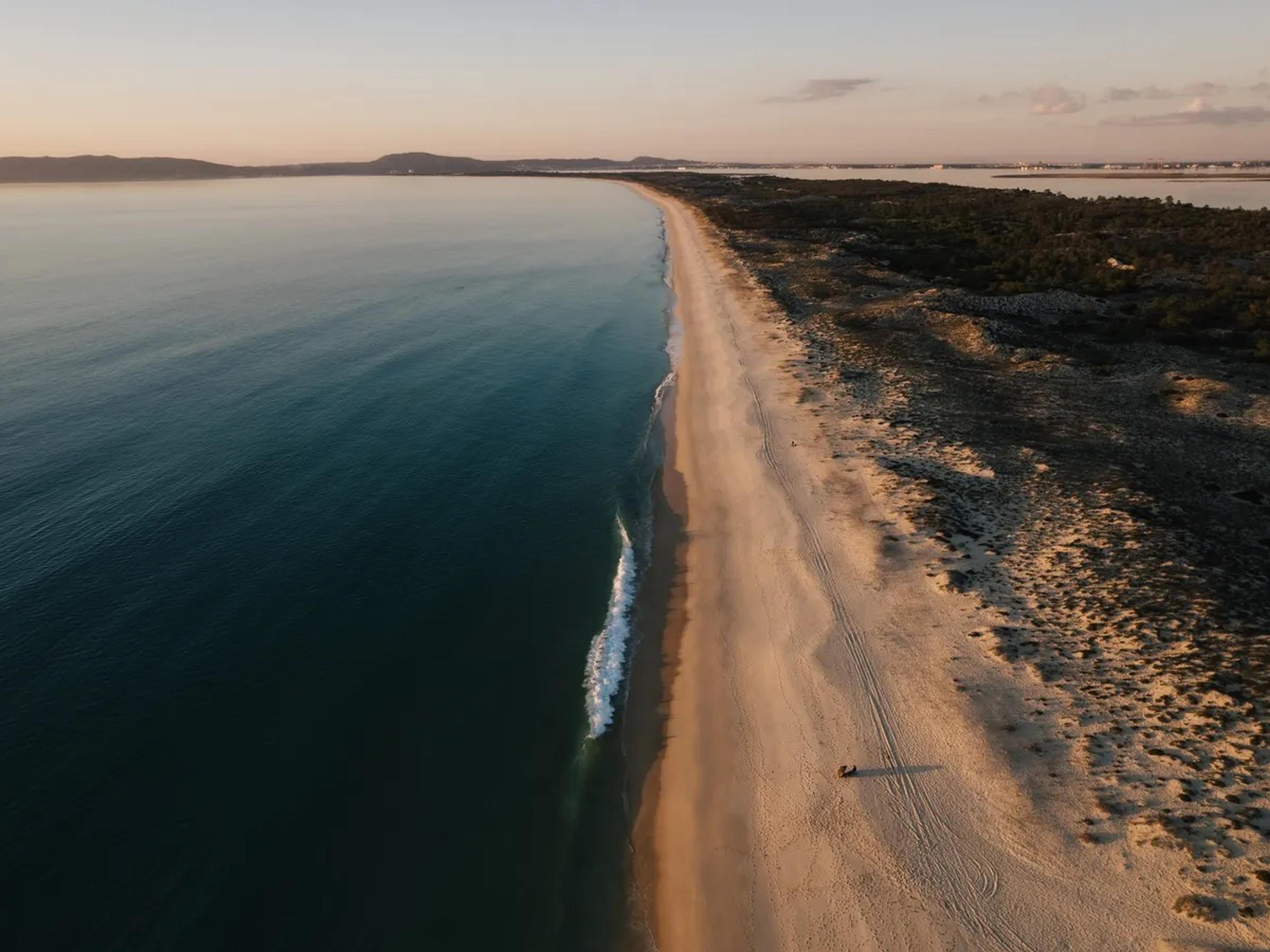 A long, empty Atlantic beach at Comporta from the air at dusk, a line of surf on one side and dunes and pine scrub on the other