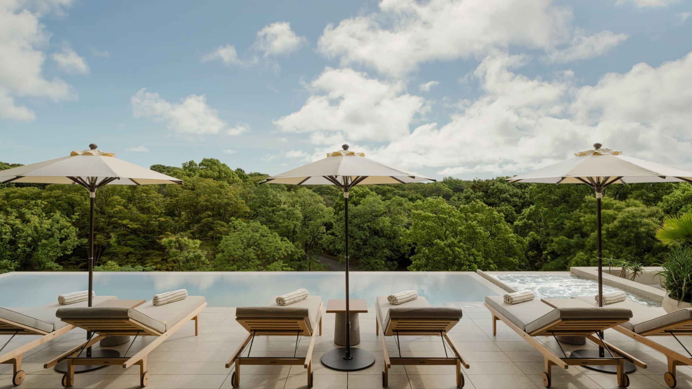 a rooftop infinity pool lined with cushioned loungers and cream umbrellas, backed by a dense tree canopy under a blue sky with clouds