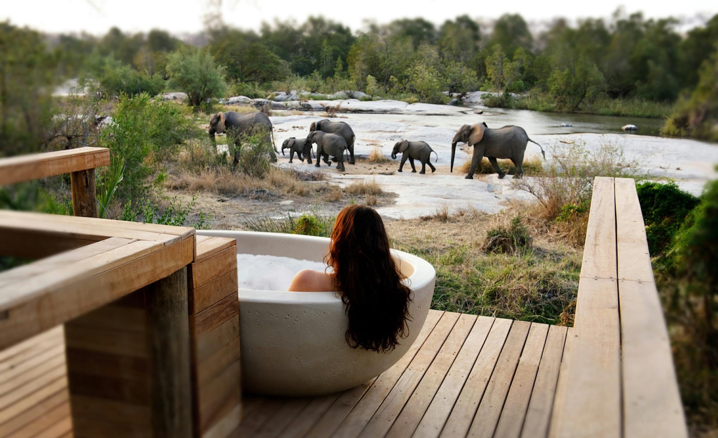 a woman seen from behind with wet hair, sitting in an outdoor bathtub, watching a herd of elephants cross a riverbed in the distance