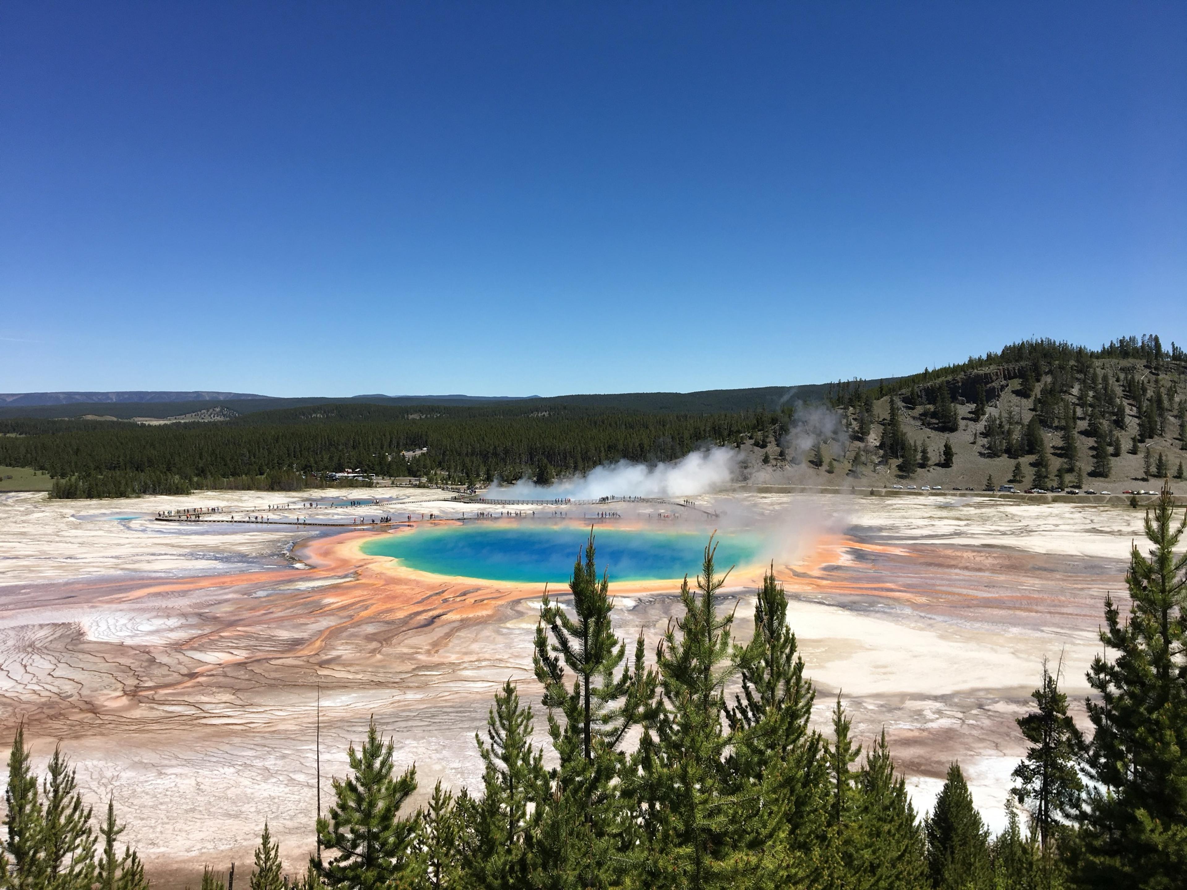 Grand Prismatic Spring in Yellowstone from the hillside above it, its blue pool ringed in orange, steam drifting over the boardwalk and pines in front