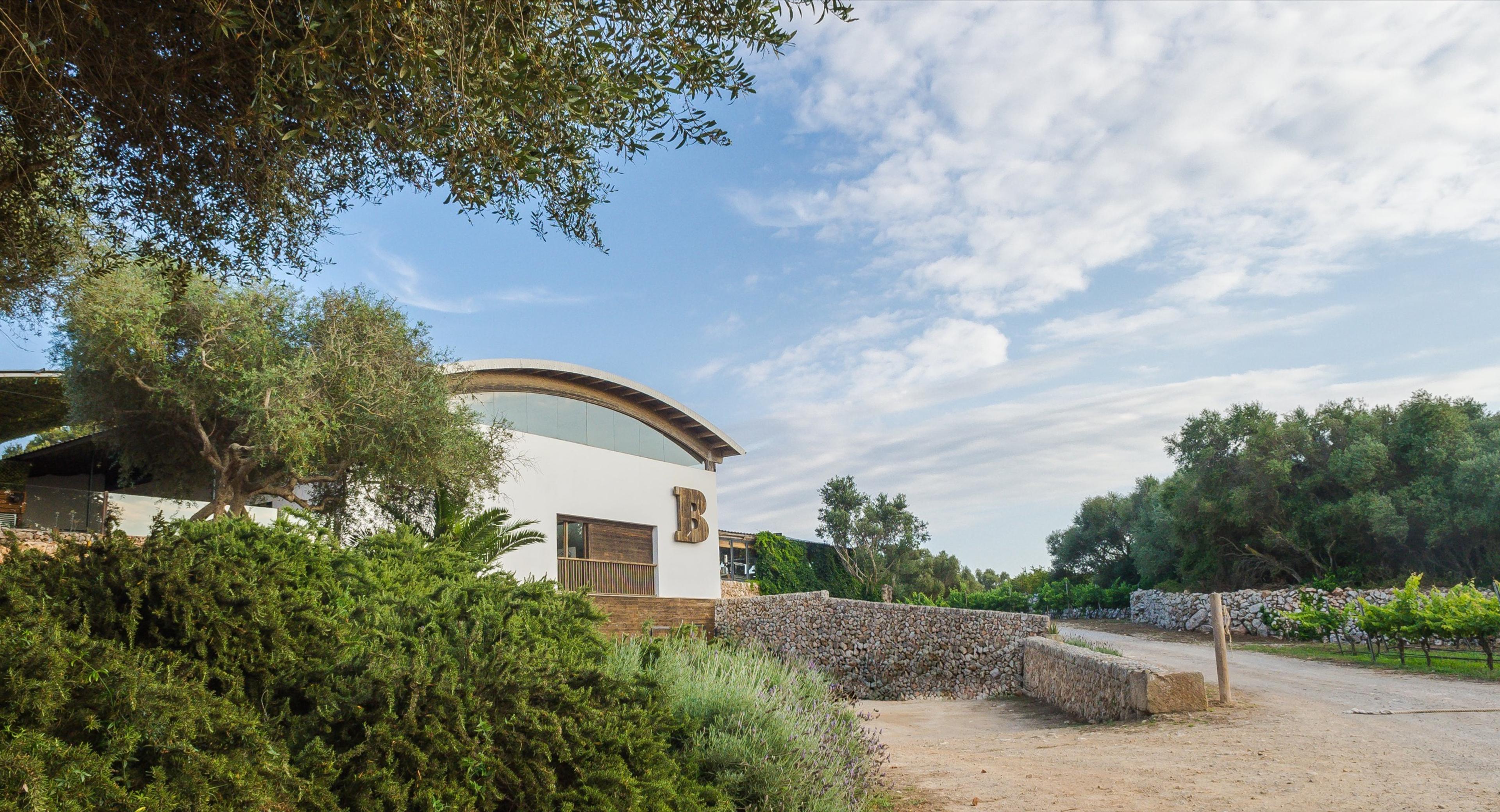 A white winery building behind a dry-stone wall, under a blue sky with scattered cloud.