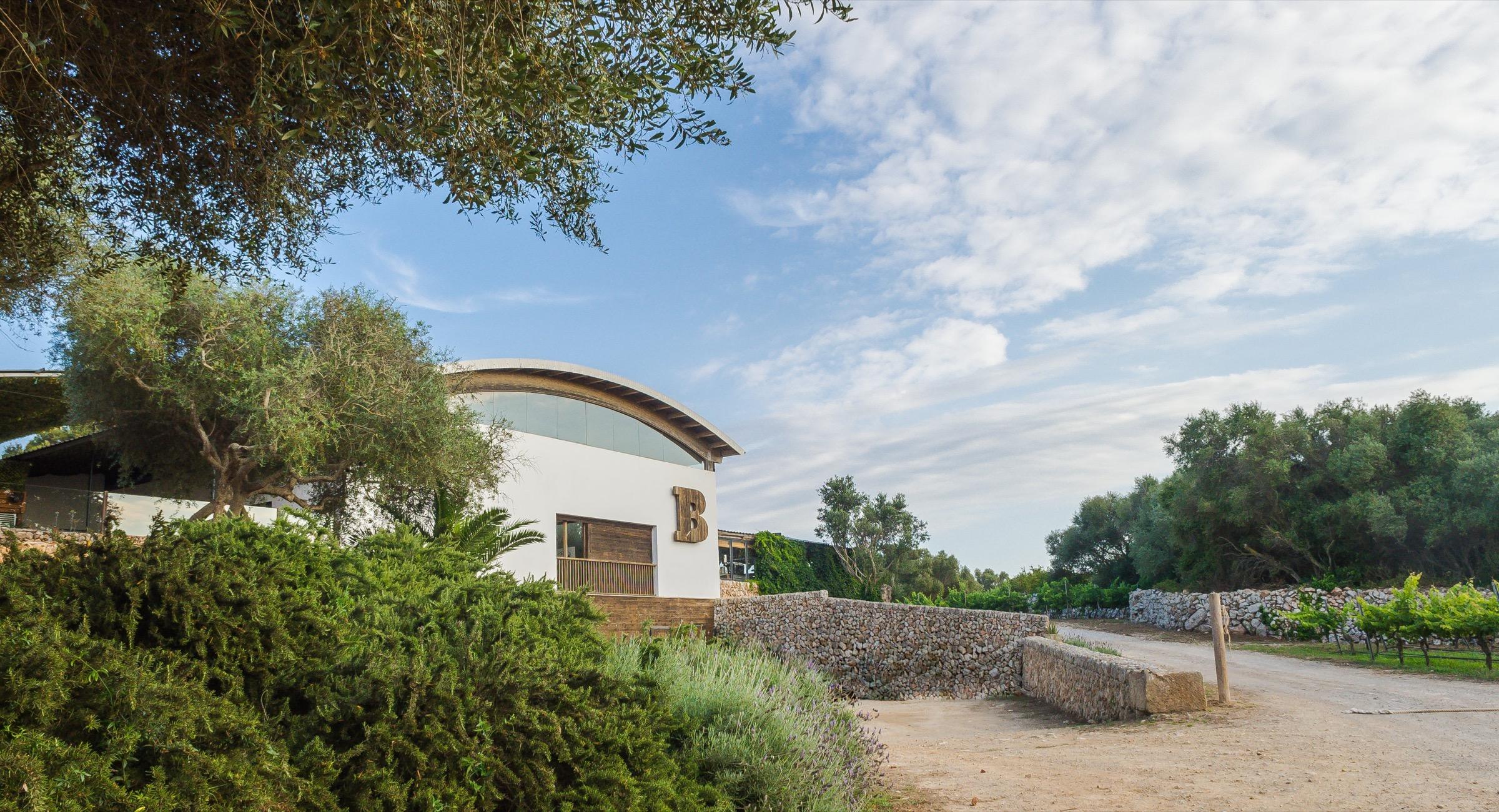 A white winery building behind a dry-stone wall, under a blue sky with scattered cloud.