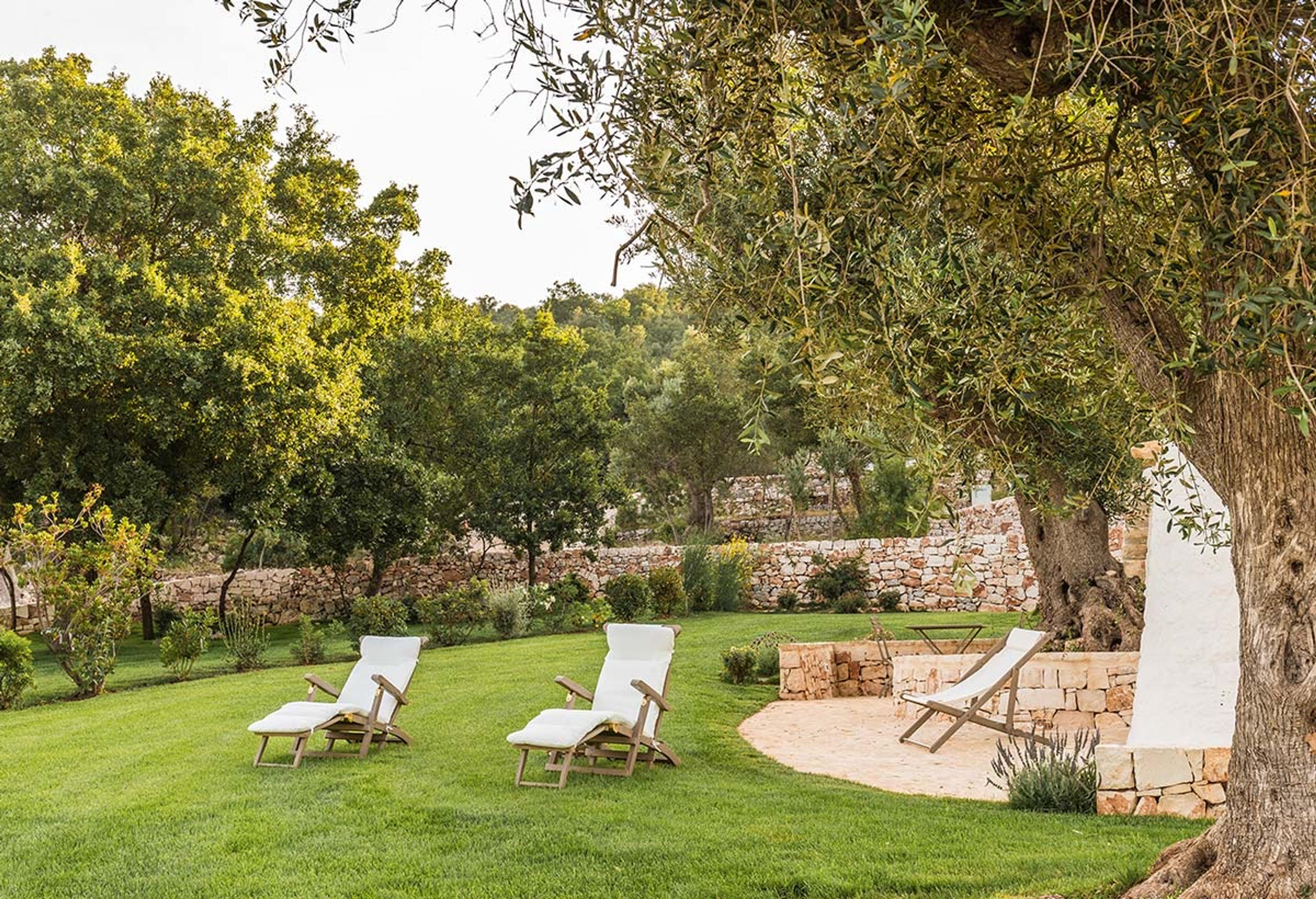 Two reclined sun loungers under an olive tree on a lawn, with a stone wall and countryside beyond.