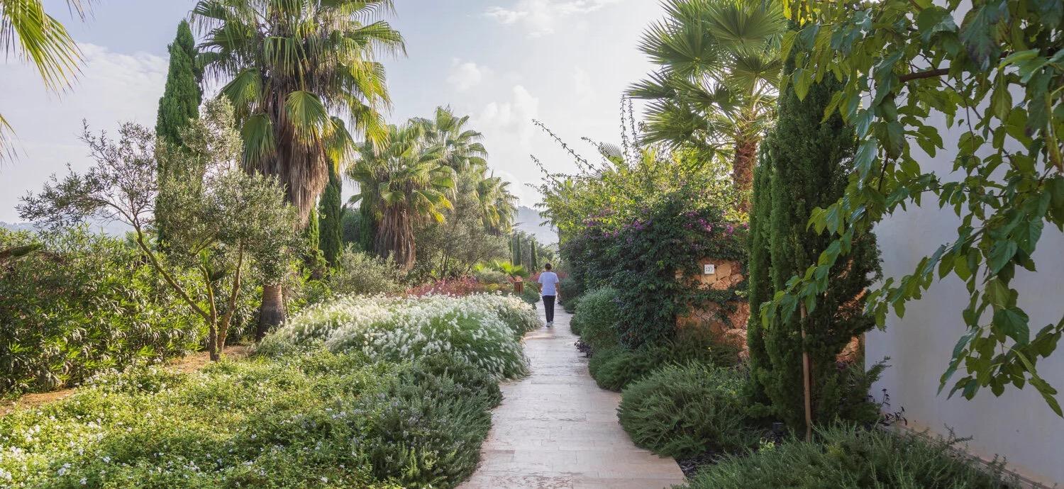 A stone path through a garden of palms, cypresses and flowering shrubs