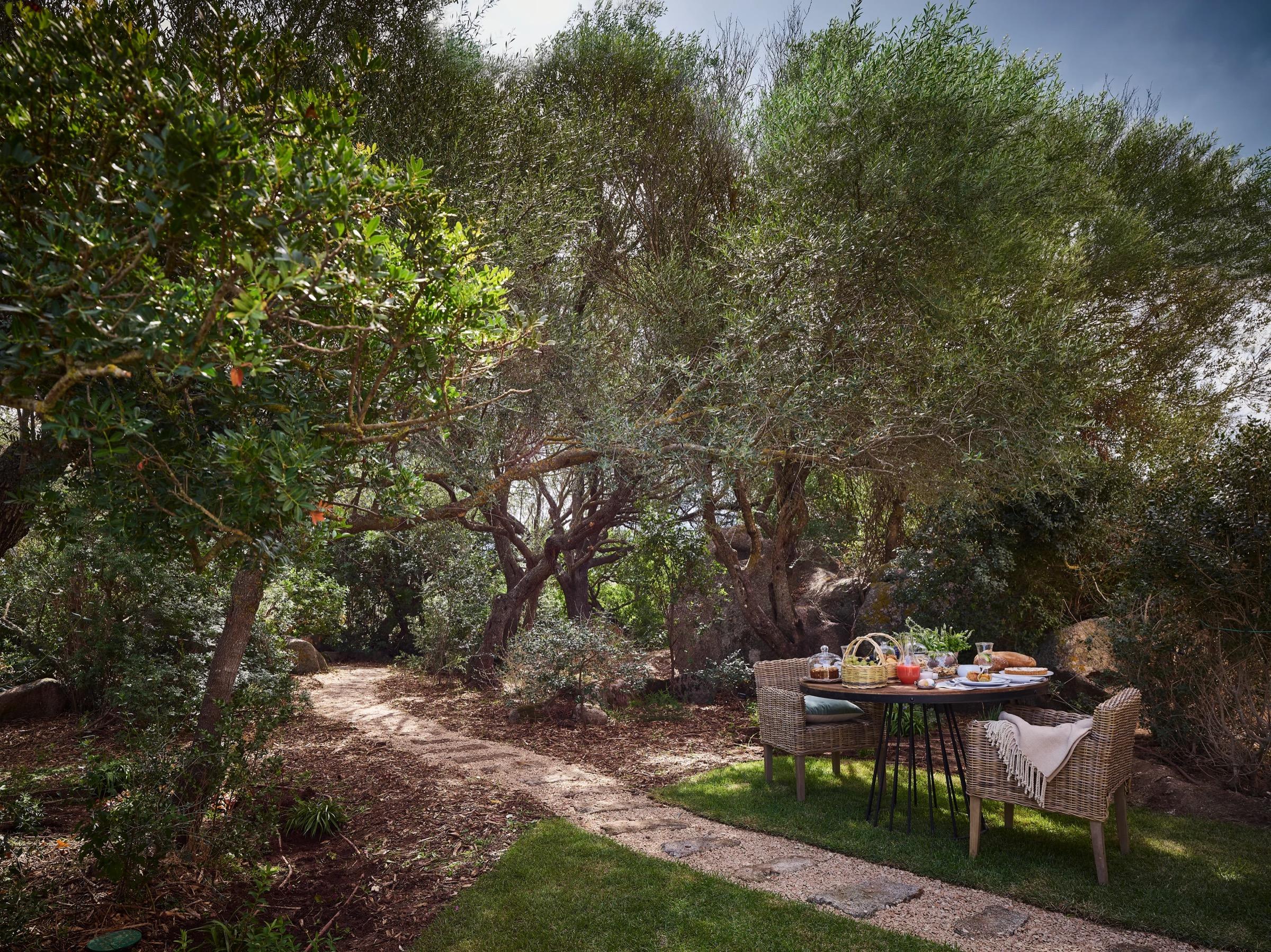 a round wooden table laid with bread, jars and a basket of food, set among old olive trees