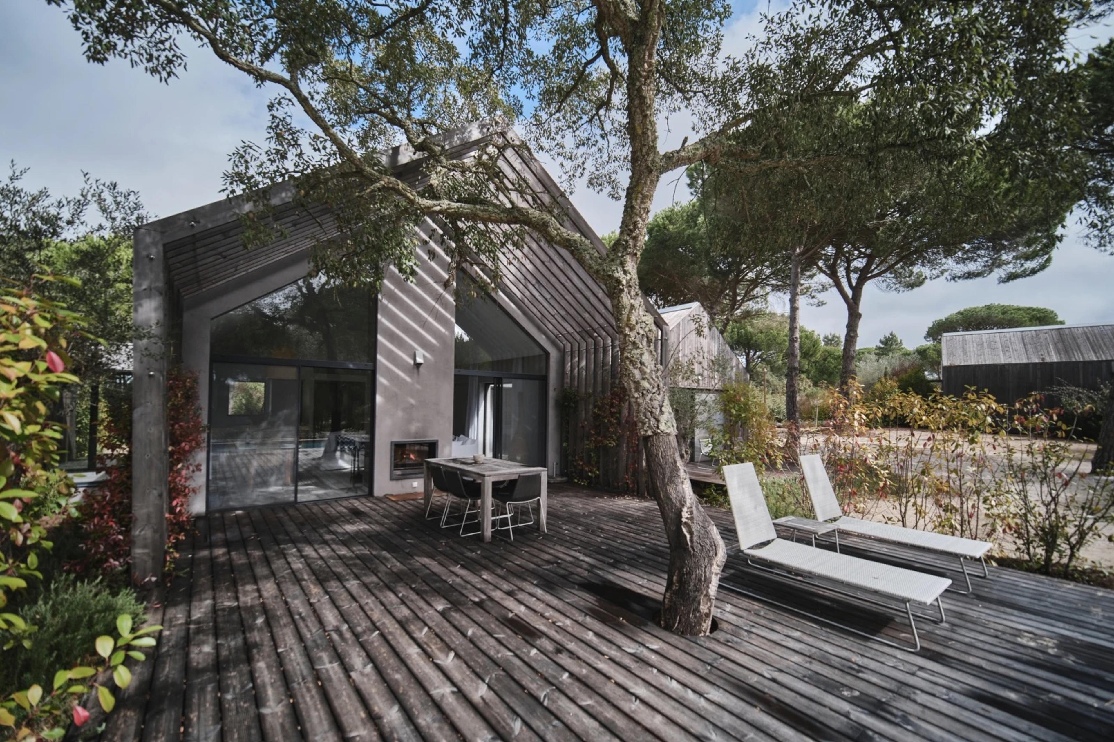 A wooden deck built around a living pine tree, with a dining table and two sun loungers outside a glass-fronted cabin.