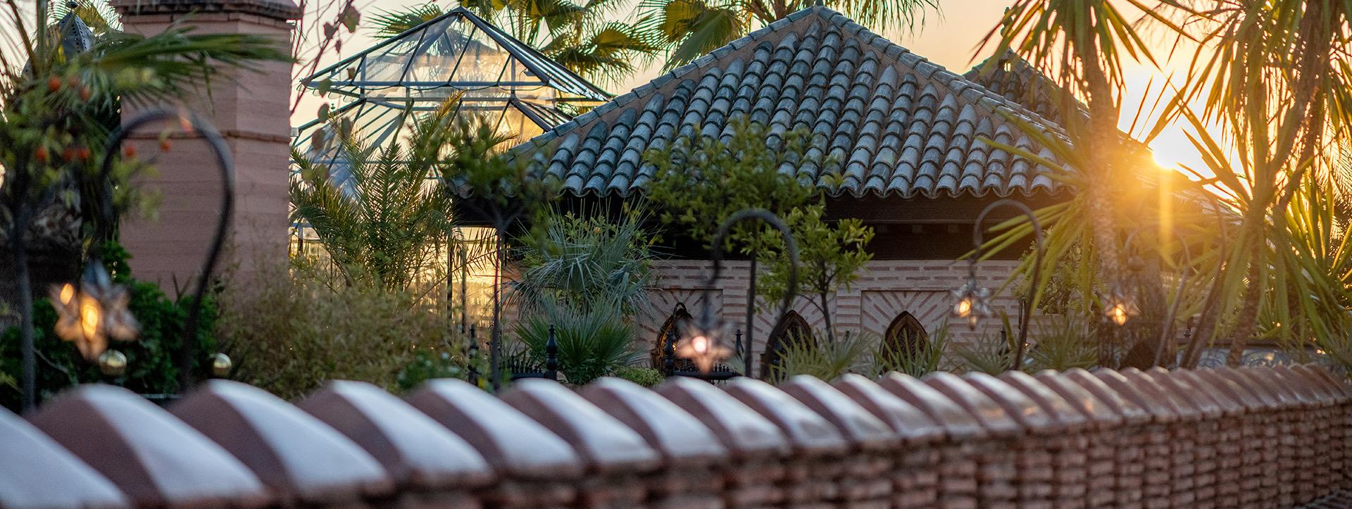 Tiled rooftops and a glass pavilion roof seen past a low wall and palm fronds, lit by a low sun.