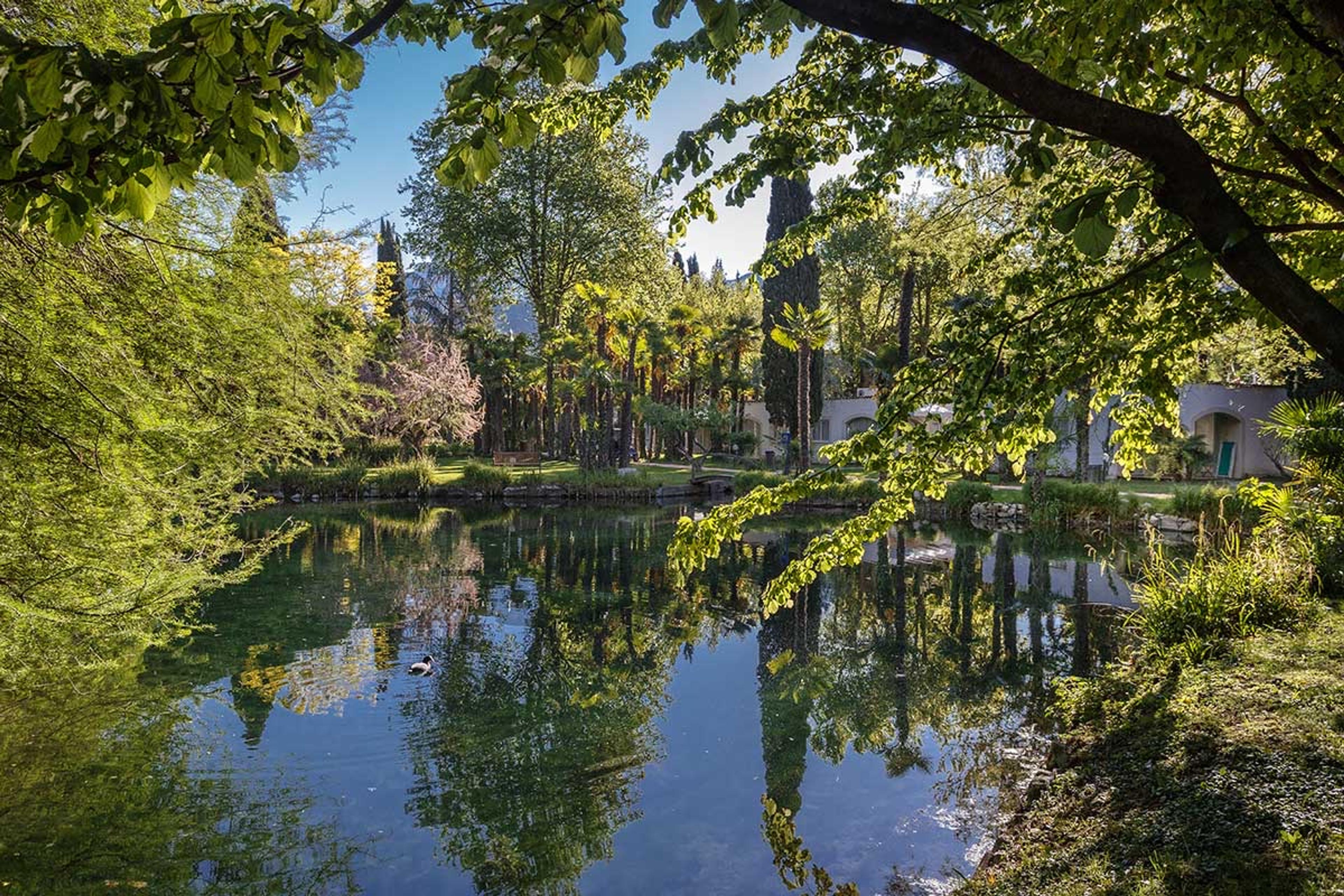 A still pond under overhanging trees, with their reflections in the water, a duck near the far bank, and a pale building among trees beyond.
