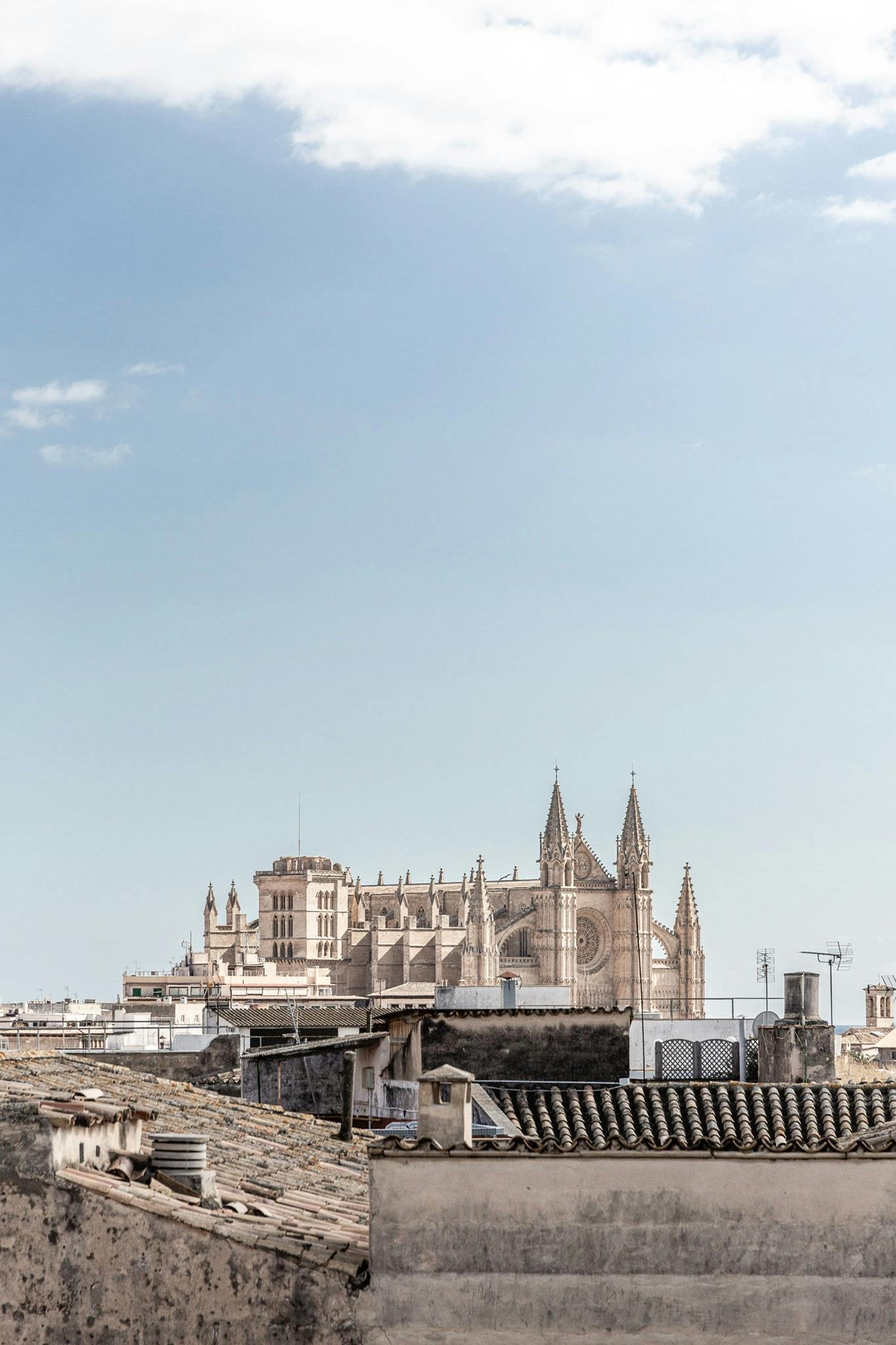 Palma Cathedral's spires and rose window rising above a row of terracotta rooftops, under a blue sky with light cloud.