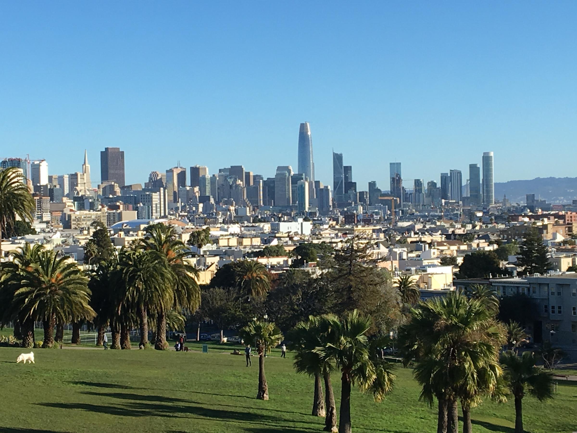 The San Francisco skyline from Dolores Park, palm trees in the foreground and the tall Salesforce Tower rising above downtown under a clear sky