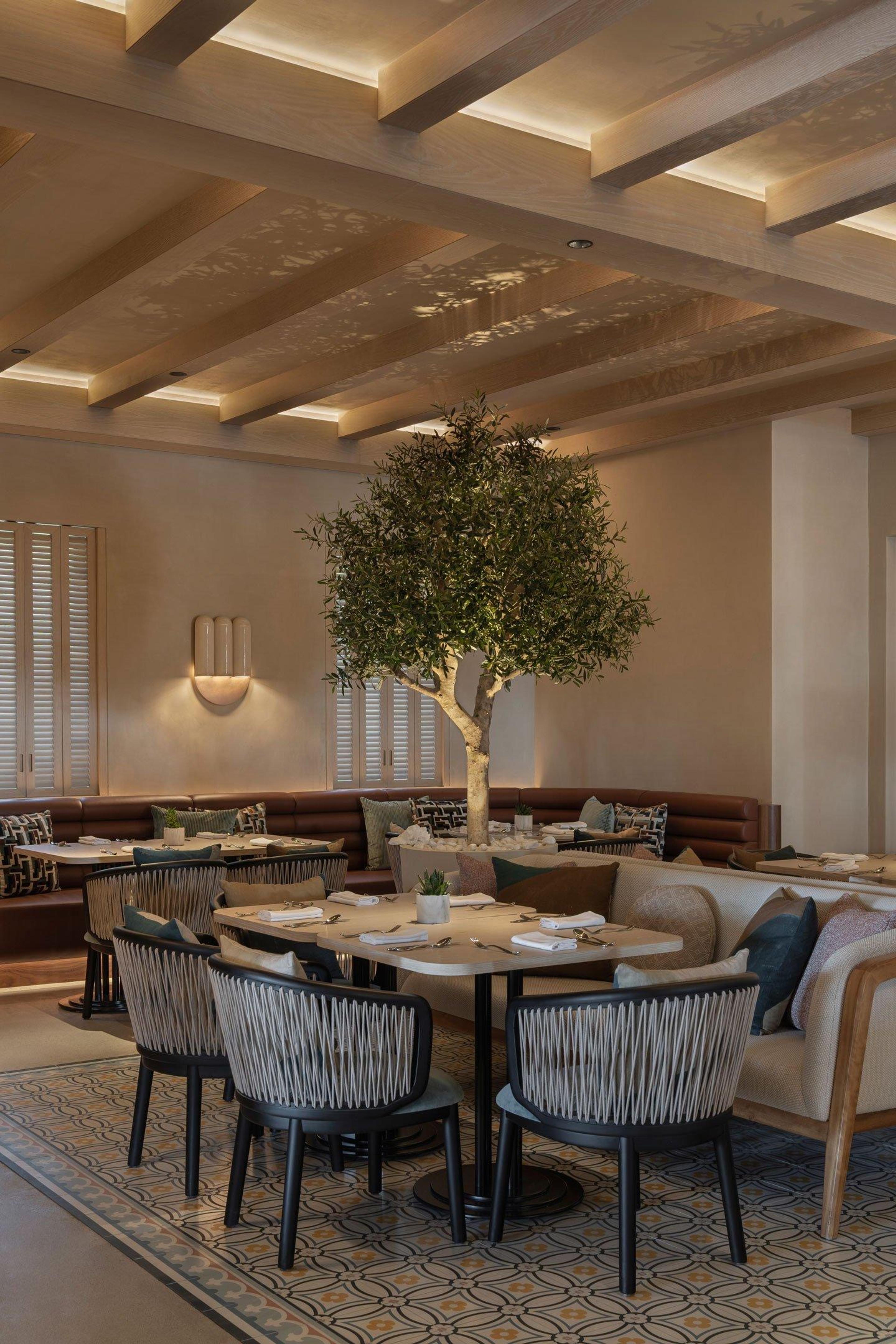A restaurant dining room with an olive tree at its centre, a wood-beamed ceiling, and empty tables set with napkins.