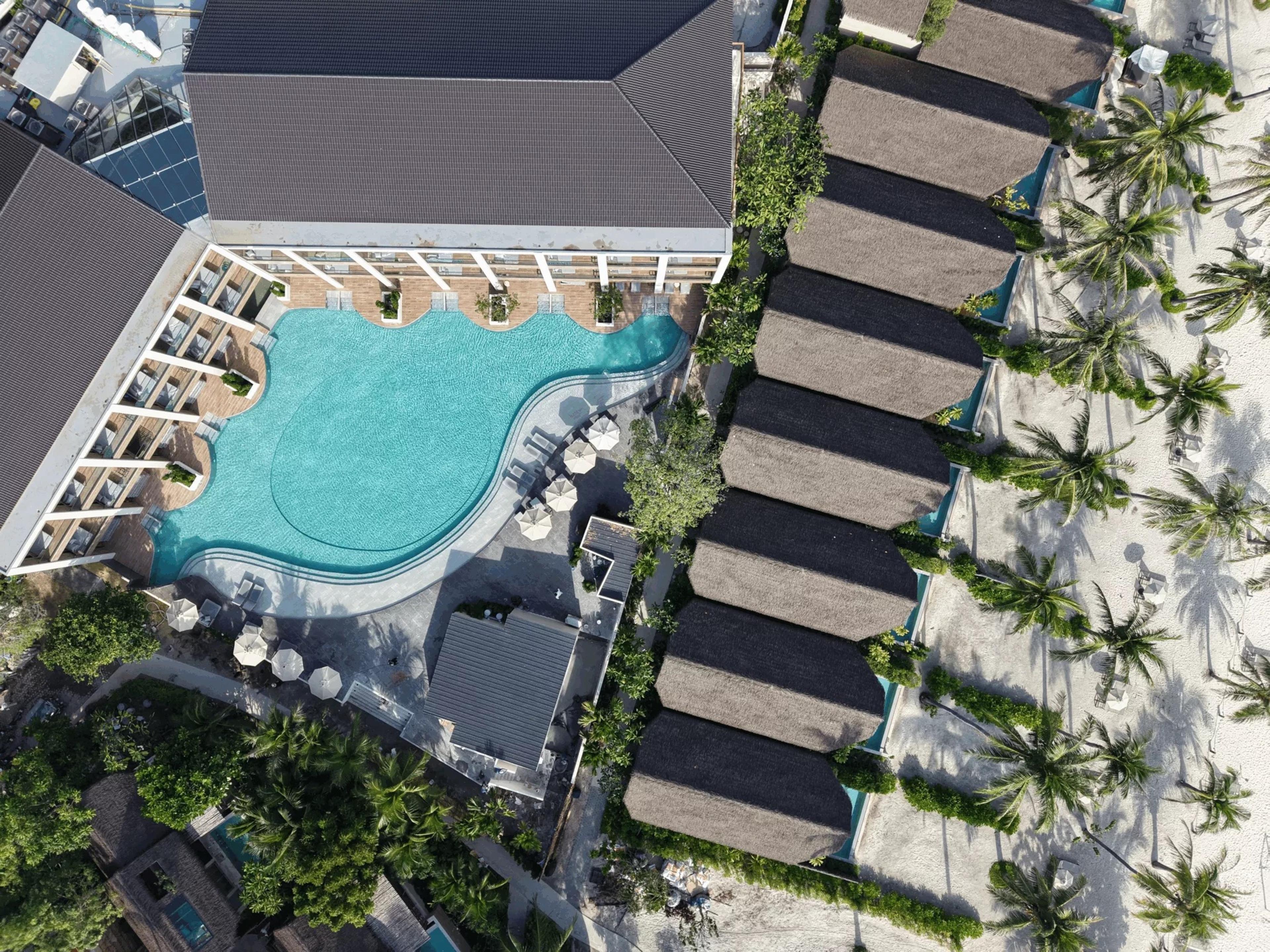 an aerial view of a hotel's curved swimming pool and loungers beside a row of thatched beachfront villas among palm trees