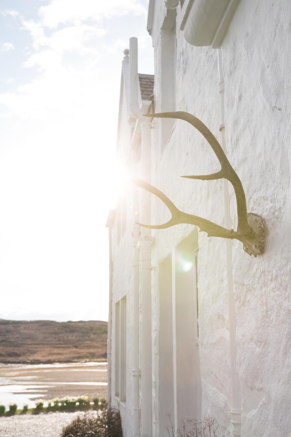 A stag antler mounted on a white gable wall in low sun, with a sea loch and hillside visible beyond.