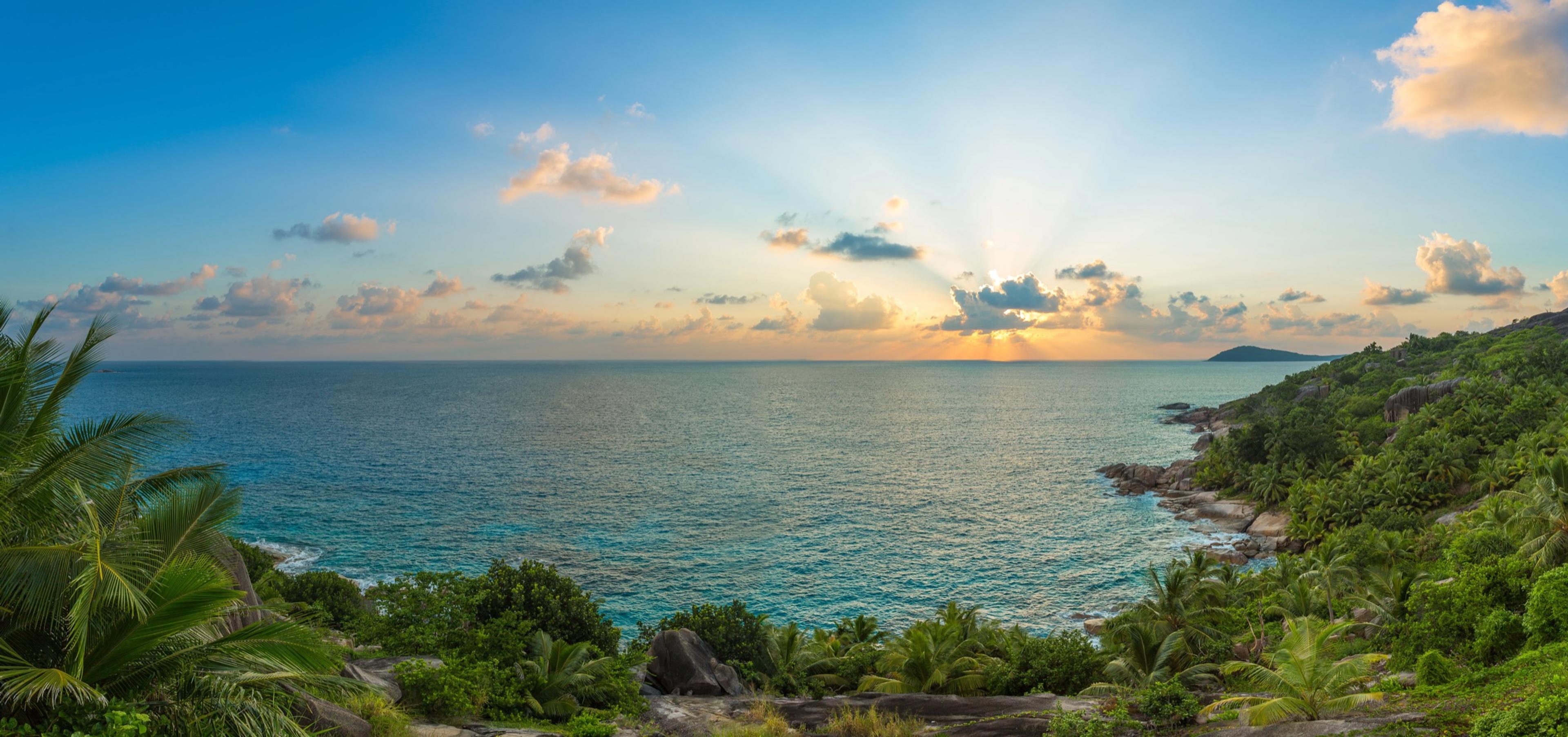 Sun rays breaking through clouds over a calm ocean, framed by palm trees and green hillside.