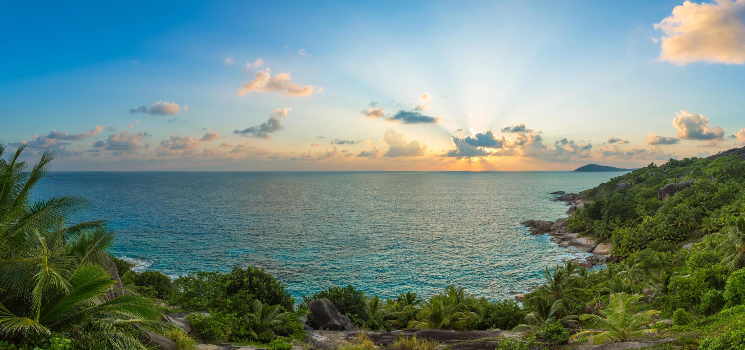Sun rays breaking through clouds over a calm ocean, framed by palm trees and green hillside.
