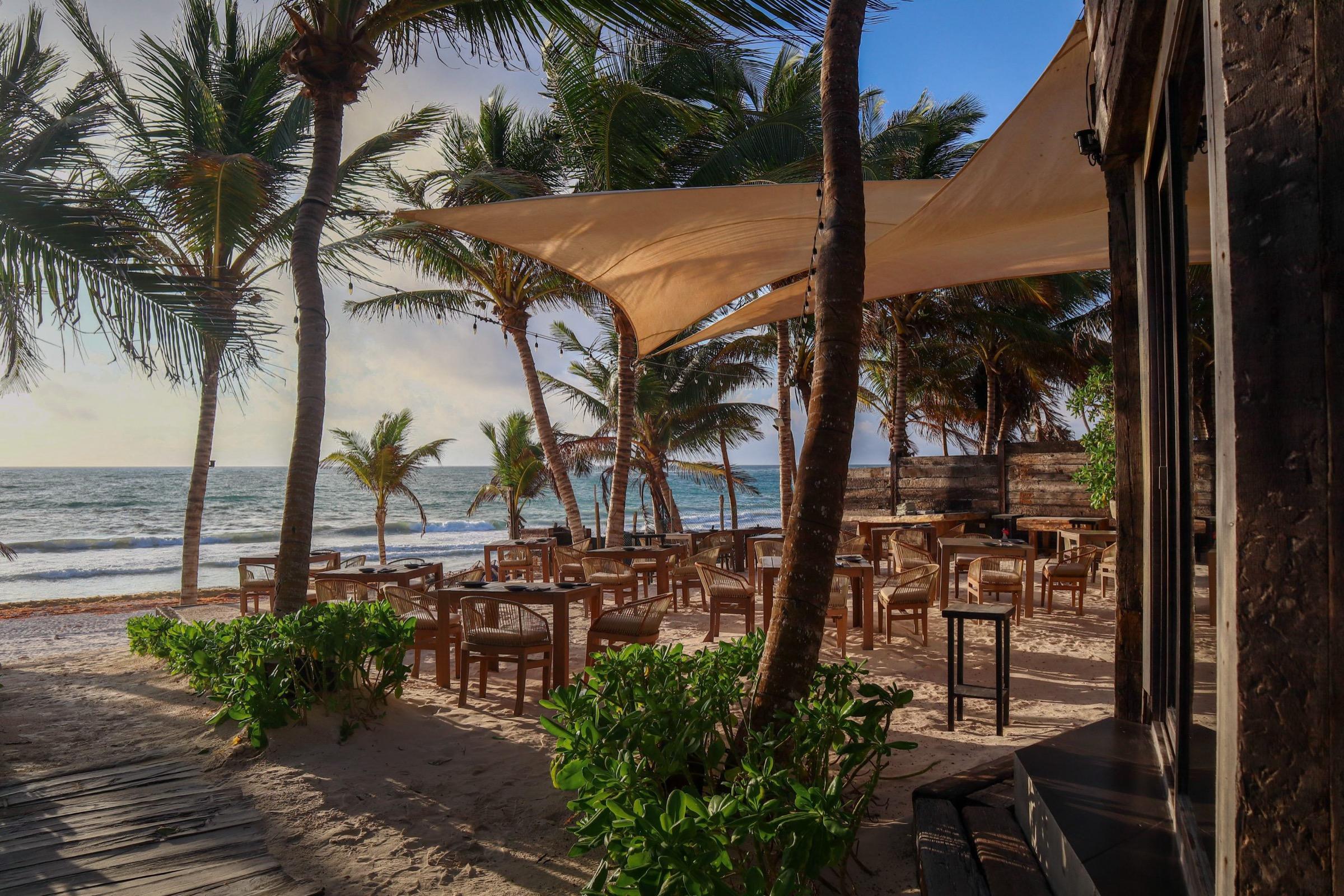 Tables on a sand terrace under a sail shade, palms and the sea beyond