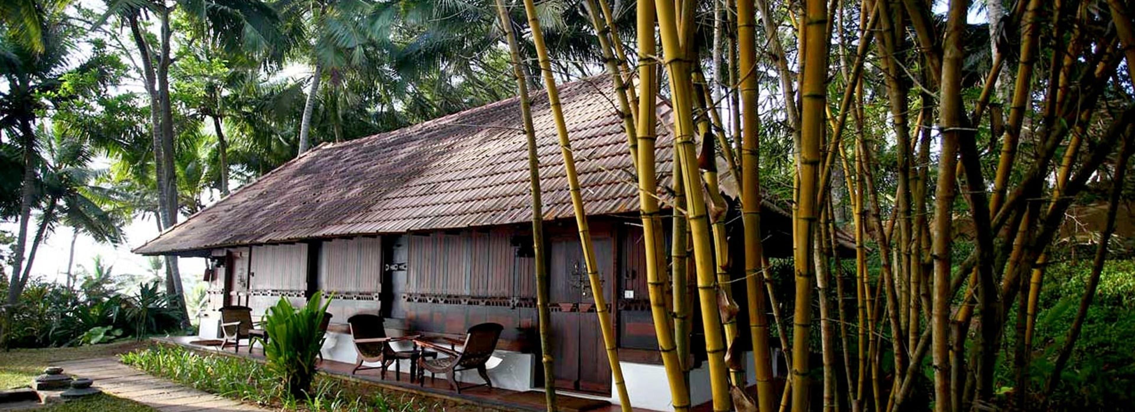 a thatched roofed cottage with wooden shutters and a veranda, closely surrounded by bamboo and palm trees
