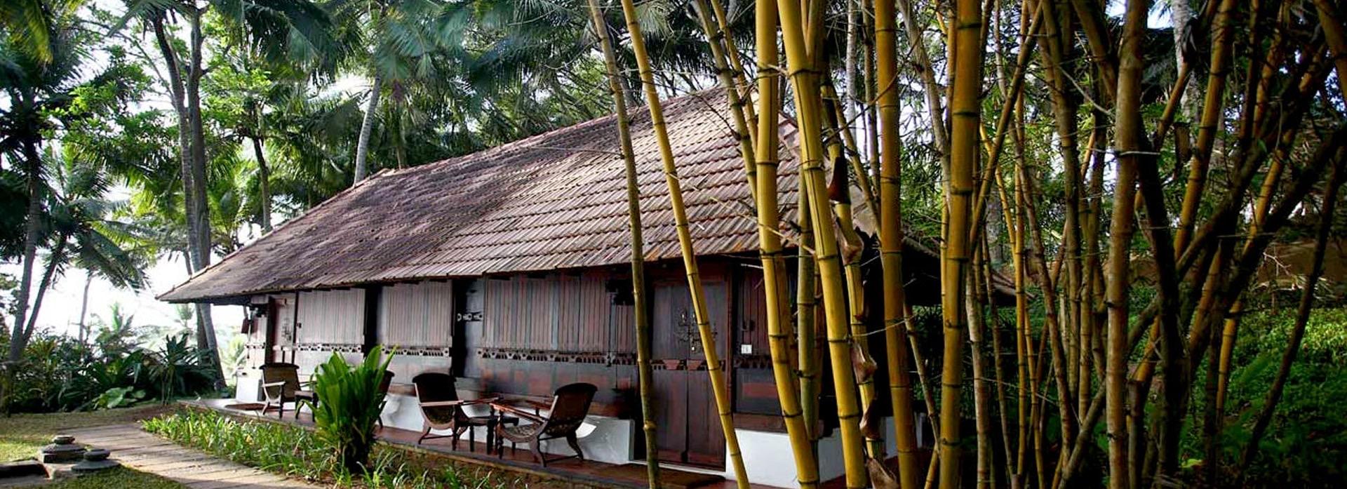 a thatched roofed cottage with wooden shutters and a veranda, closely surrounded by bamboo and palm trees