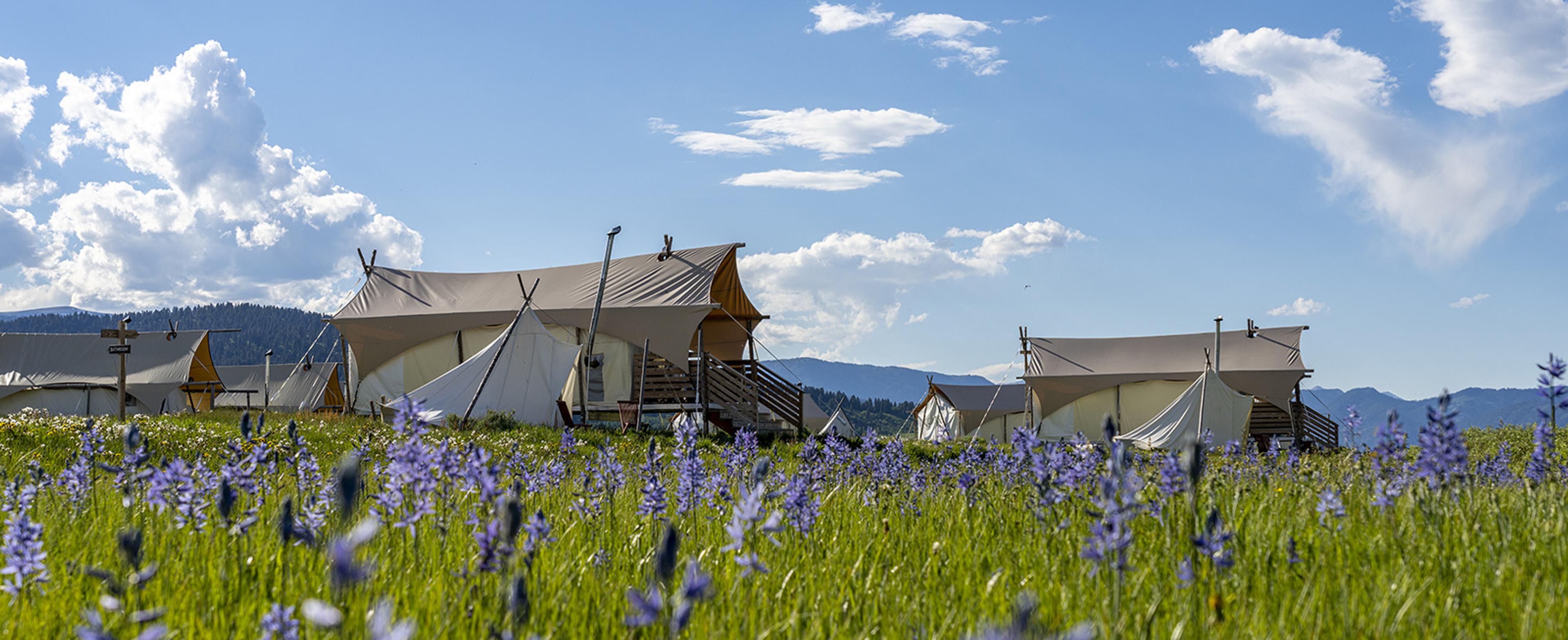 Cream canvas tents with timber decks and peaked roofs stand in a field of purple wildflowers, with forested hills behind under a cloudy blue sky.
