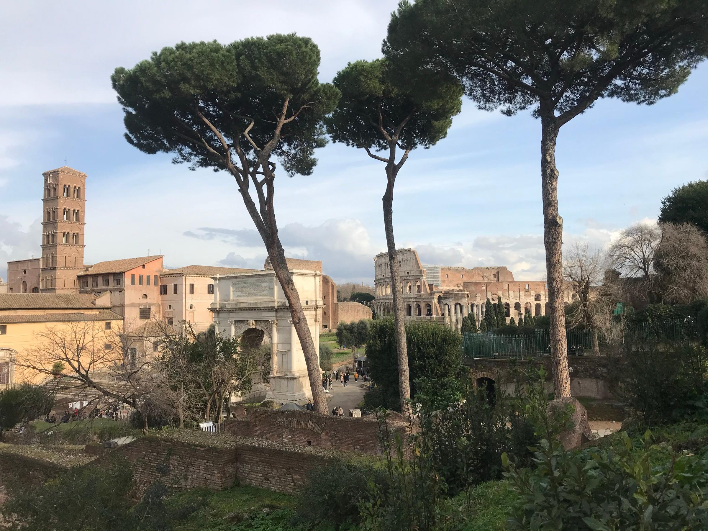 Umbrella pines over the Roman Forum from the Palatine, with the Arch of Titus, the Colosseum and the bell tower of Santa Francesca Romana beyond
