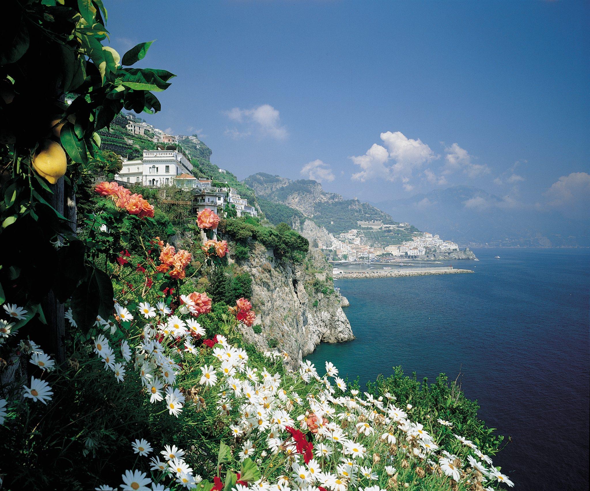 Wildflowers and a lemon branch frame a clifftop view of a hillside town, a rocky headland and the sea.