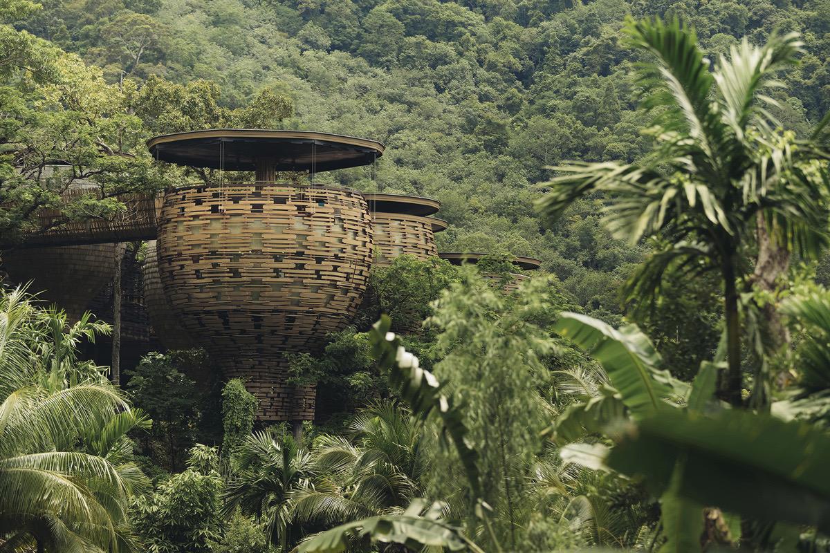 A woven, basket-shaped villa suspended among trees, connected by a raised wooden walkway.