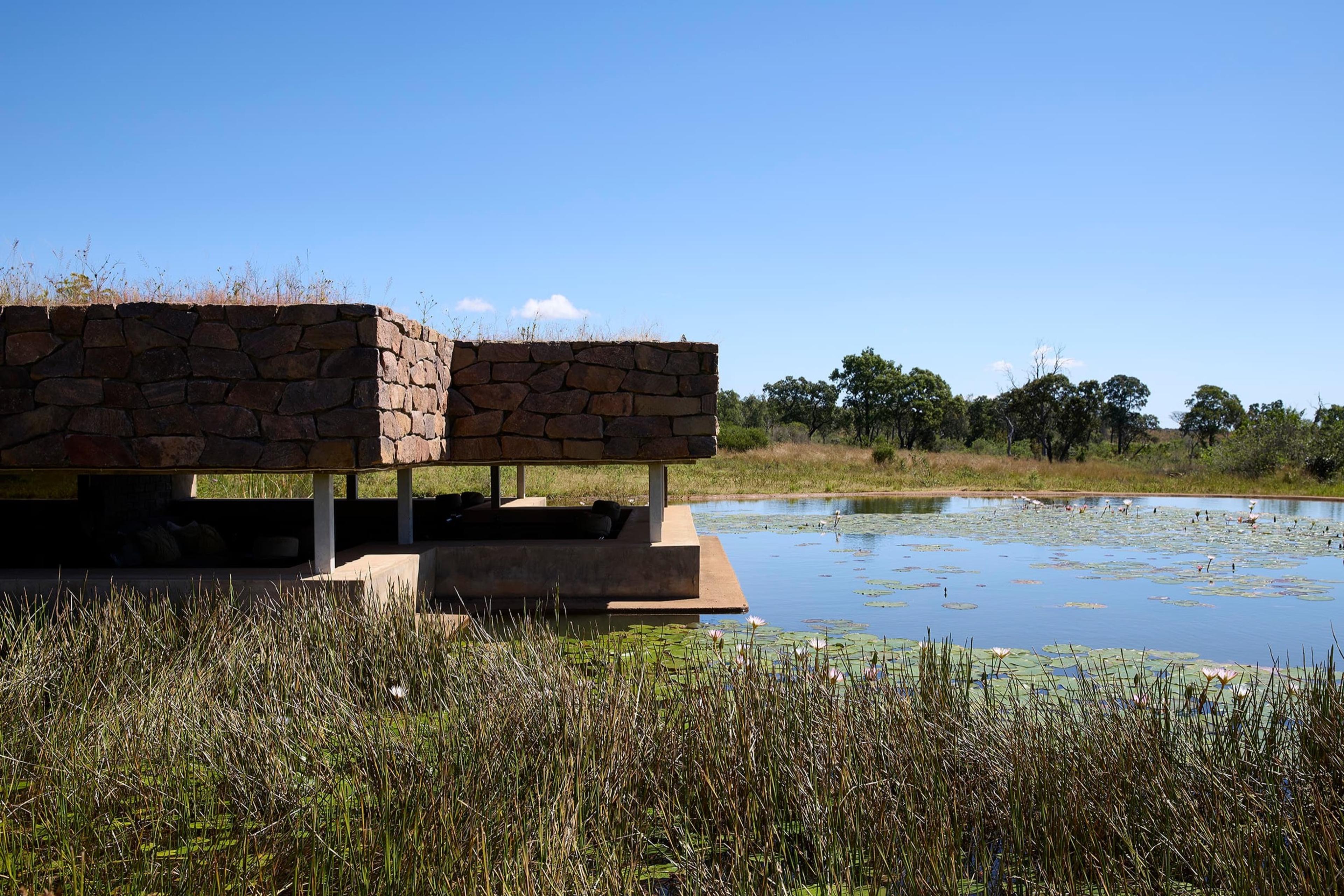 A flat-roofed stone hide on stilts beside a lily pond, with reeds in the foreground and bush beyond.