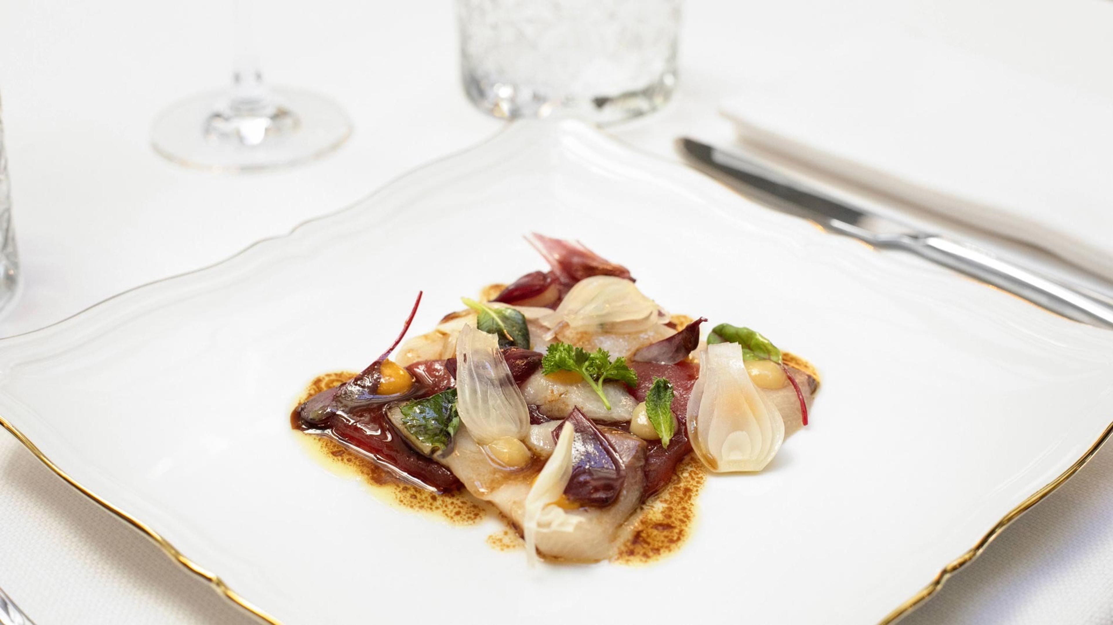 a pale fish dish plated with pickled shallot, radicchio and herbs on a white, gold rimmed plate