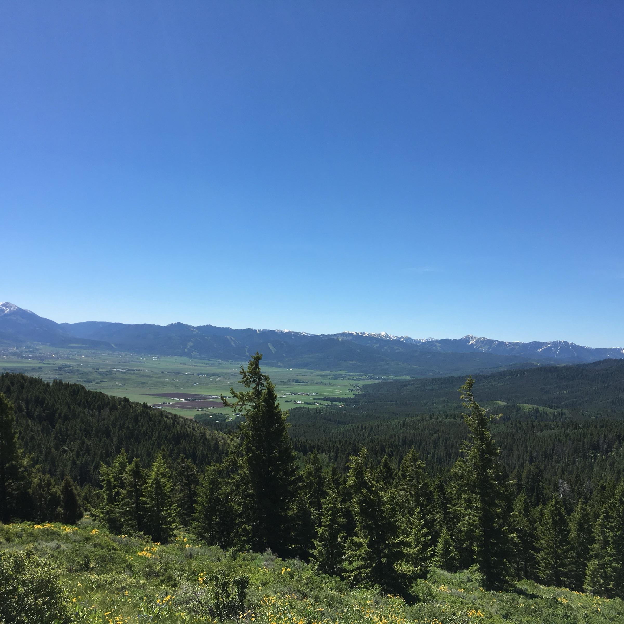 A wide green valley seen from a forested ridge, with a long range of mountains on the far side