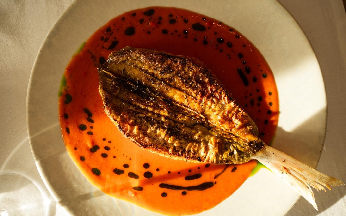 A pan-fried fish fillet on a plate of orange sauce finished with dots of a dark reduction.