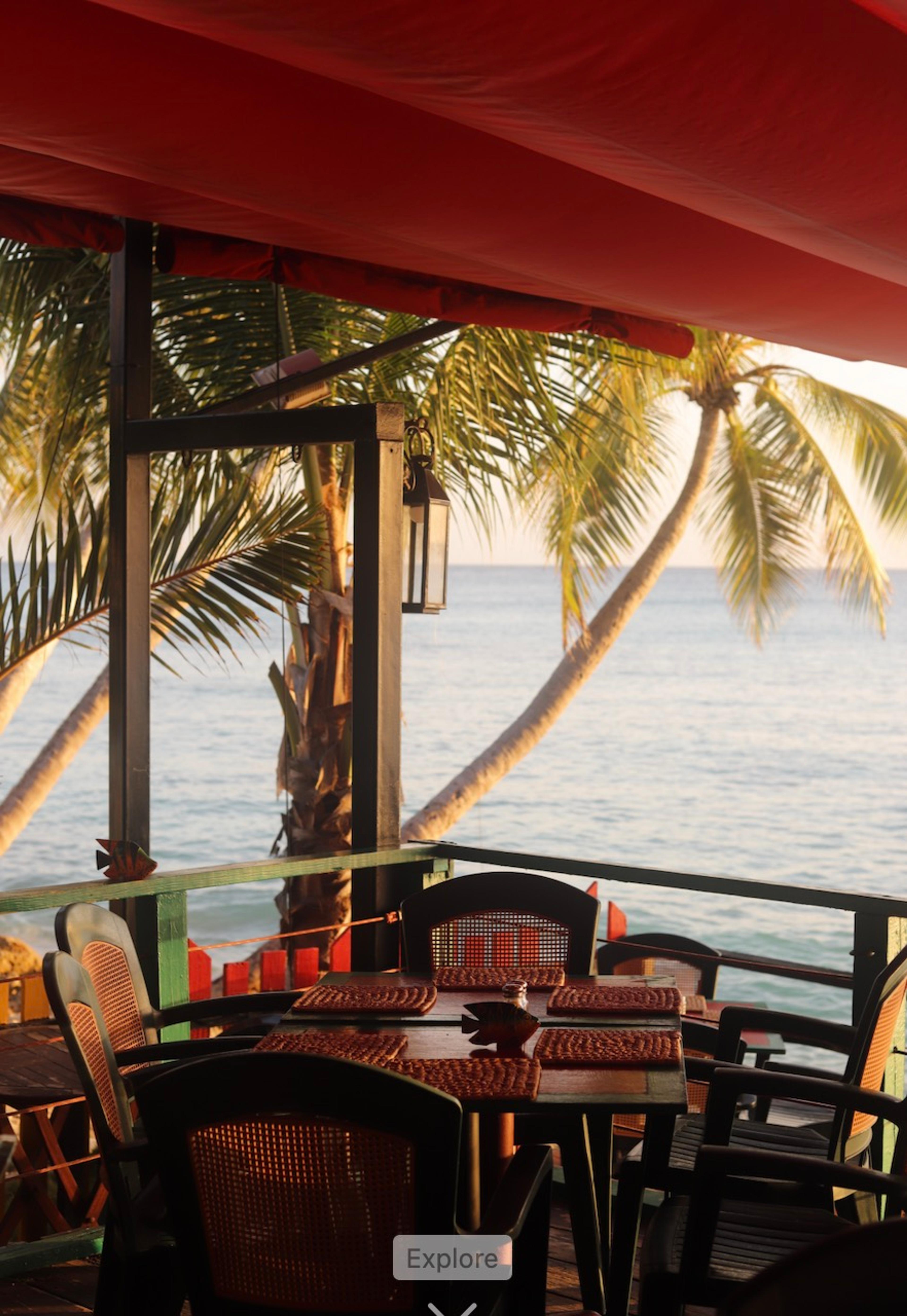 The view from a veranda through palm trees to the sea at sunset