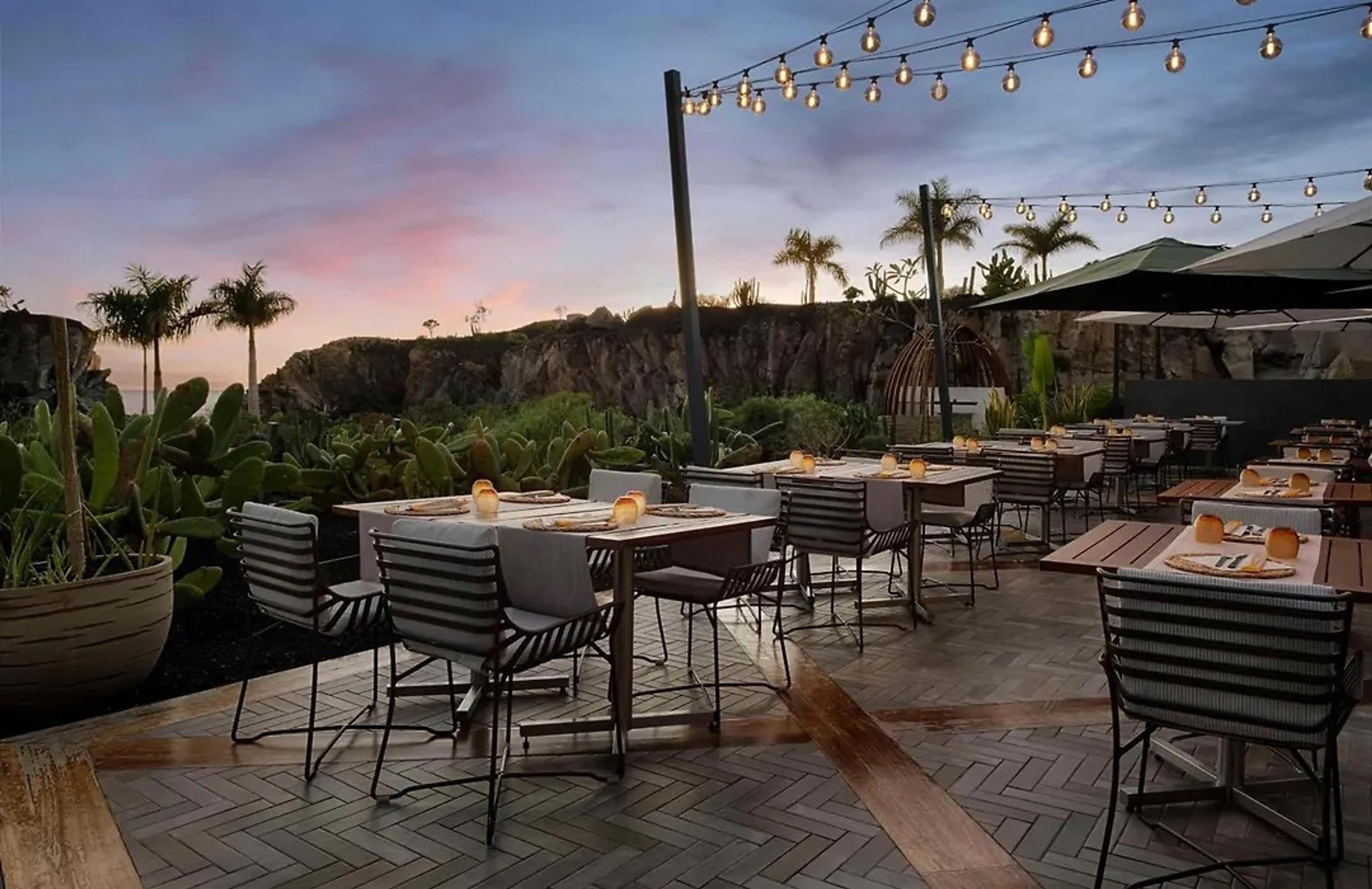 Restaurant tables on a terrace at dusk under strings of lights, with palms and cactus against rock