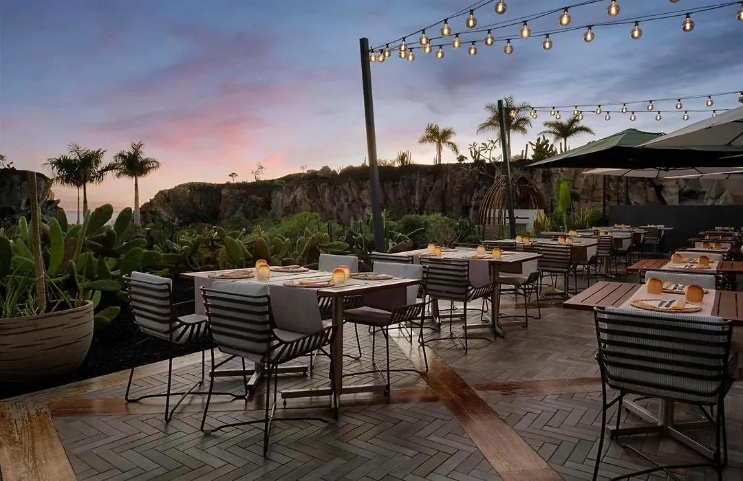 Restaurant tables on a terrace at dusk under strings of lights, with palms and cactus against rock
