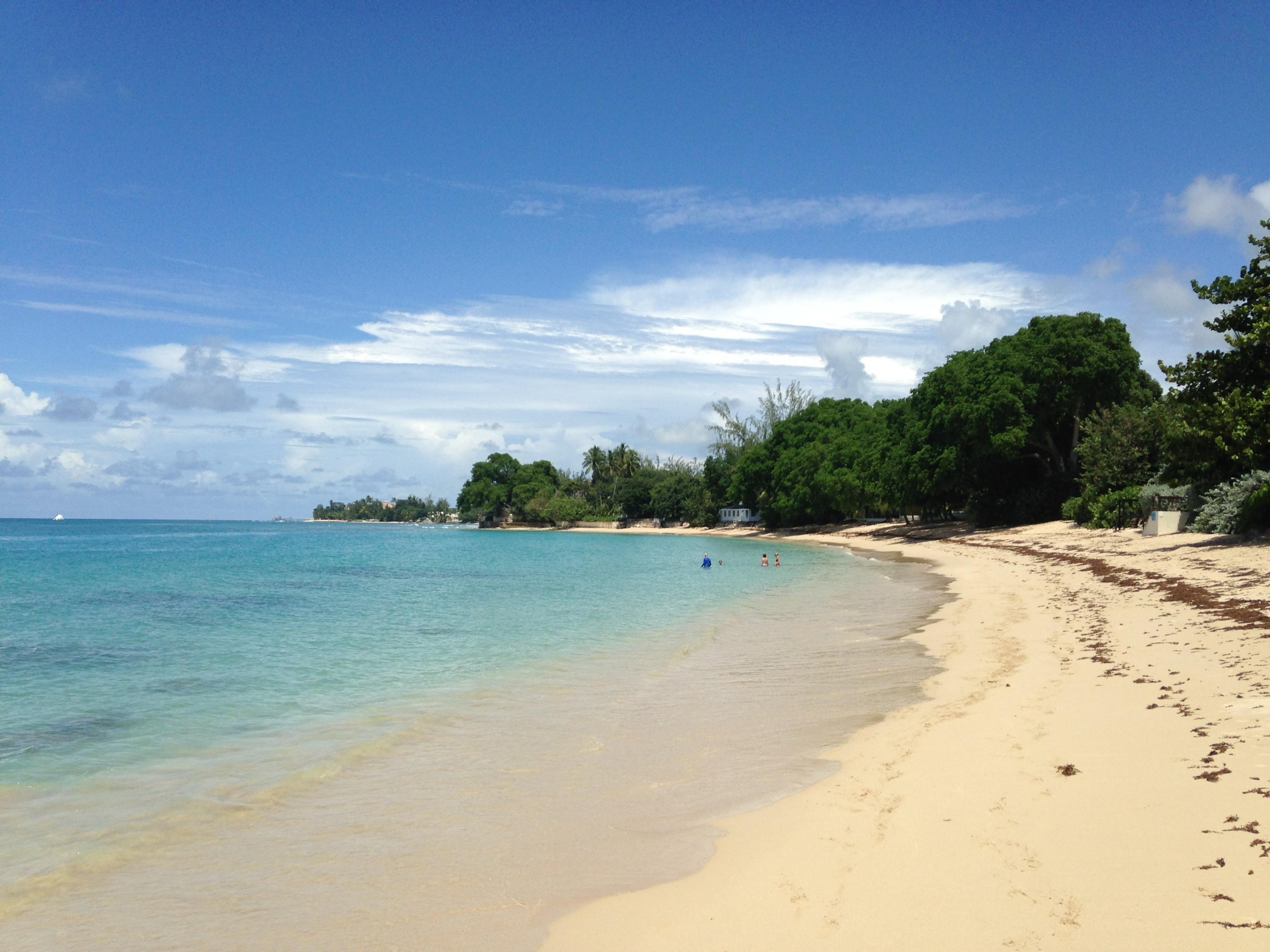 A pale sand beach curving along the west coast of Barbados, clear shallow water and trees down to the shore