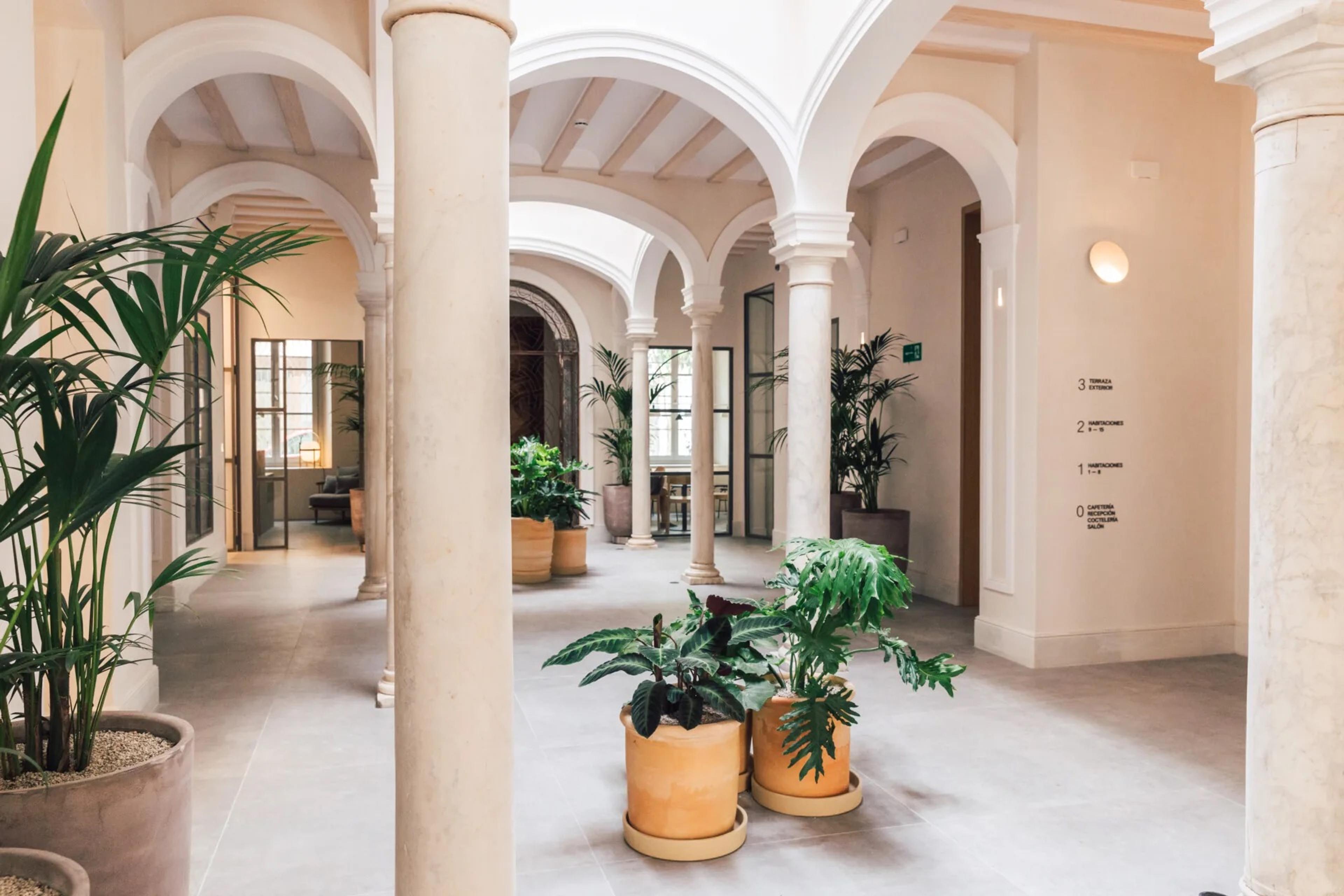 A pale courtyard of arches on marble columns, with palms and plants in terracotta pots