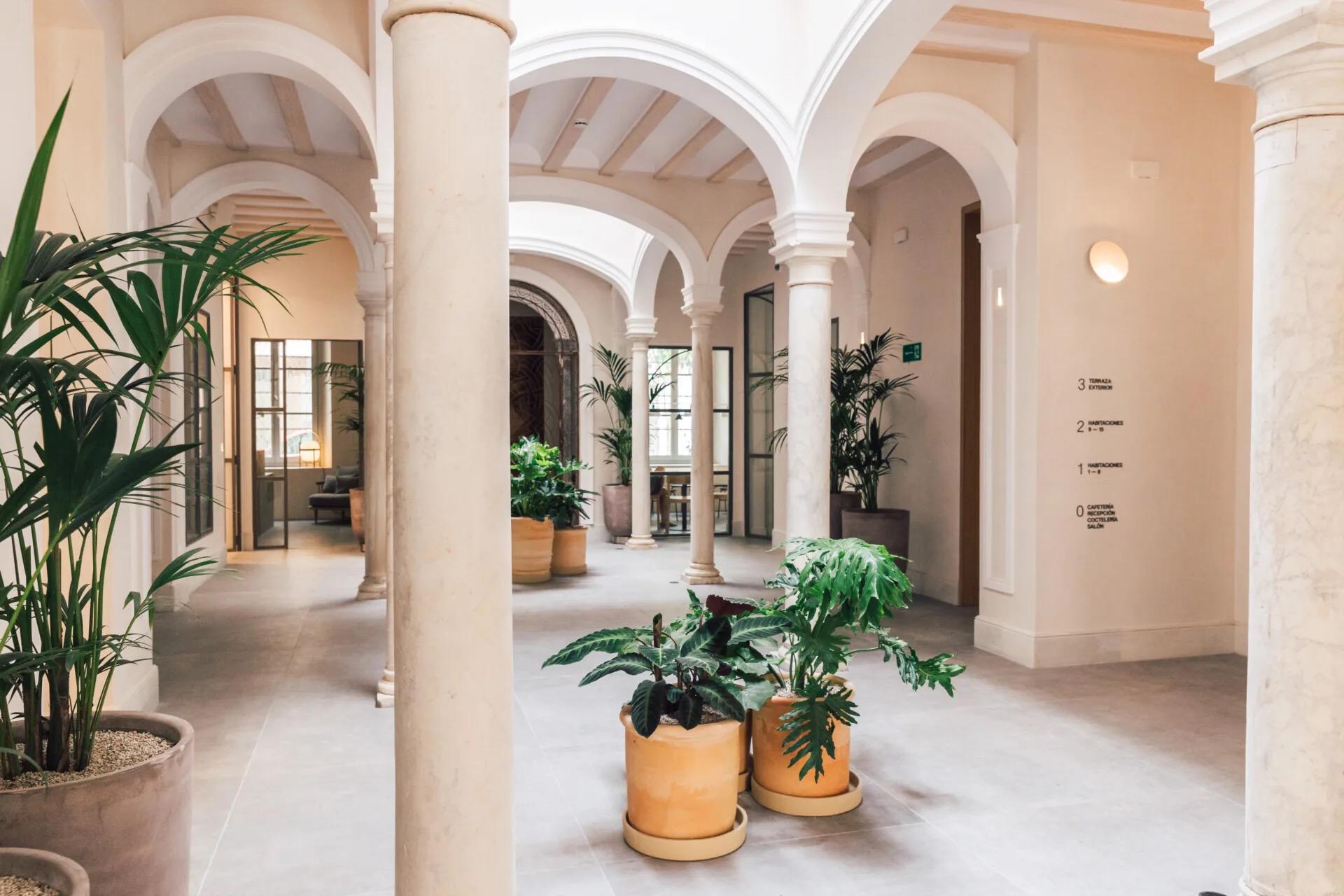 A pale courtyard of arches on marble columns, with palms and plants in terracotta pots