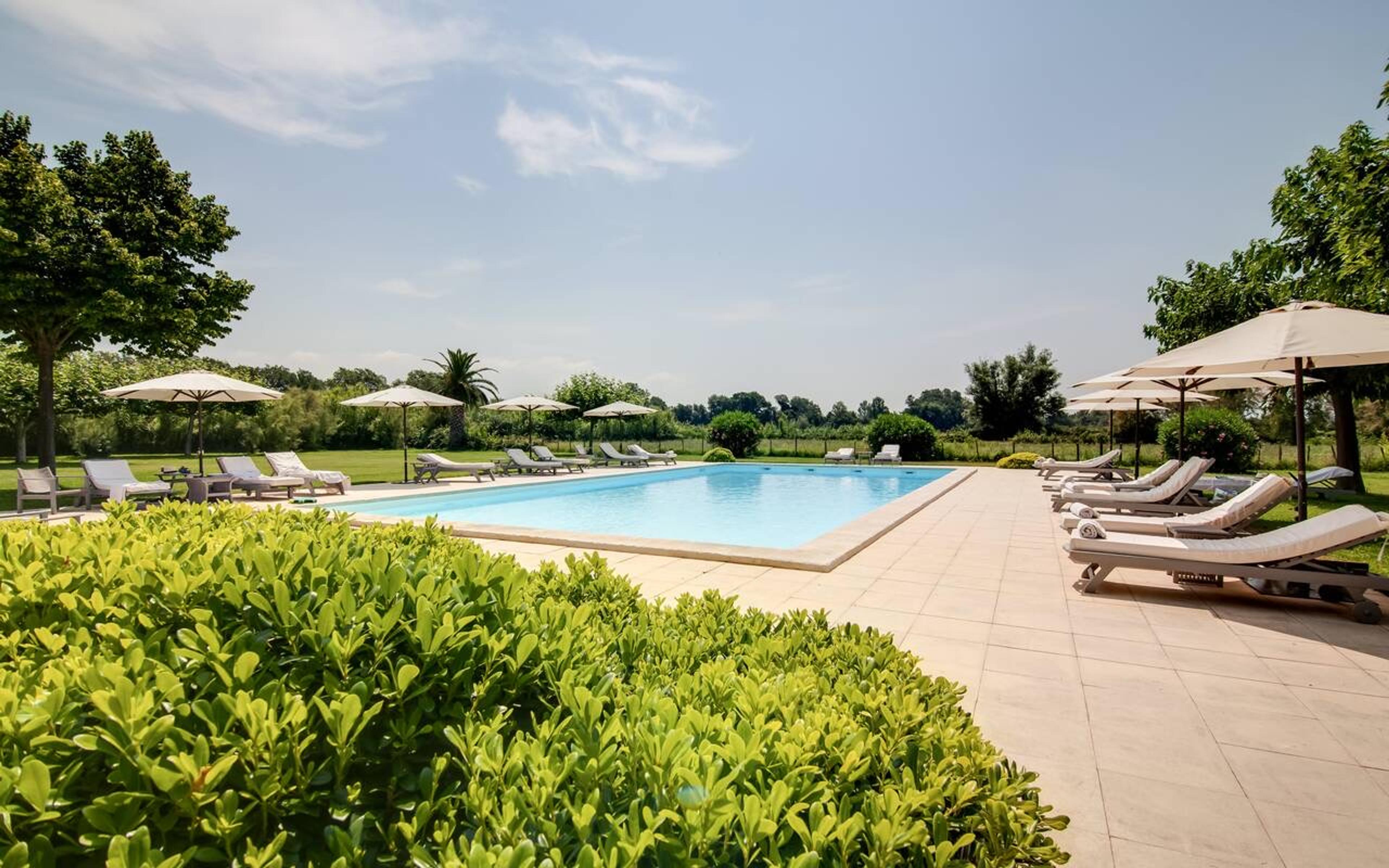 A rectangular swimming pool with white loungers and umbrellas on a stone terrace, open fields beyond a low fence.