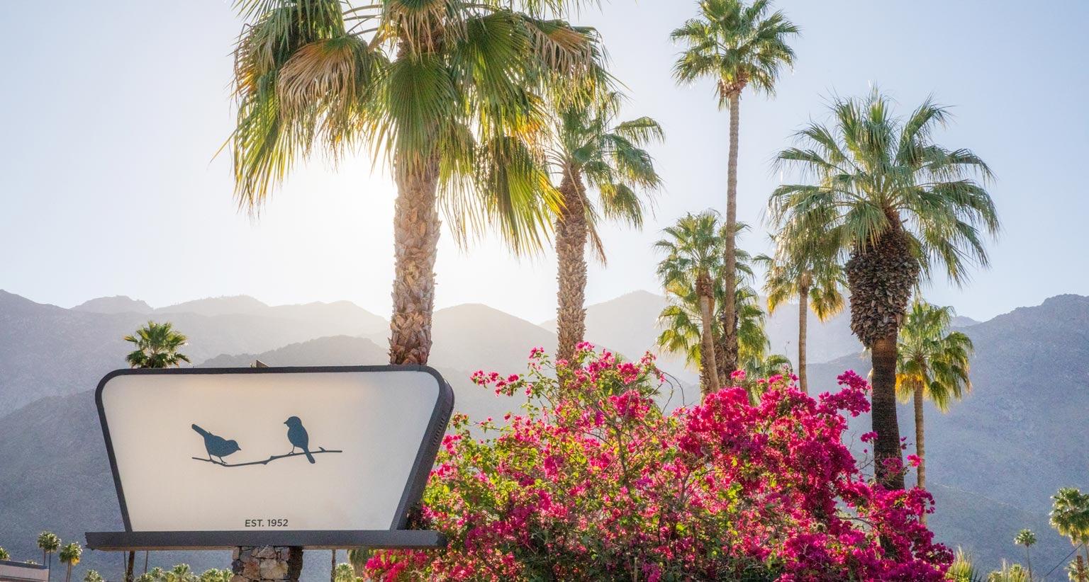 A white sign with two bird silhouettes and the words EST. 1952 stands among palm trees and pink bougainvillea, with mountains behind under a pale sky.